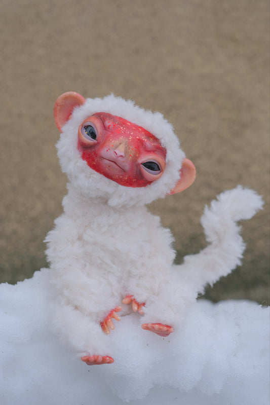Snow Monkey