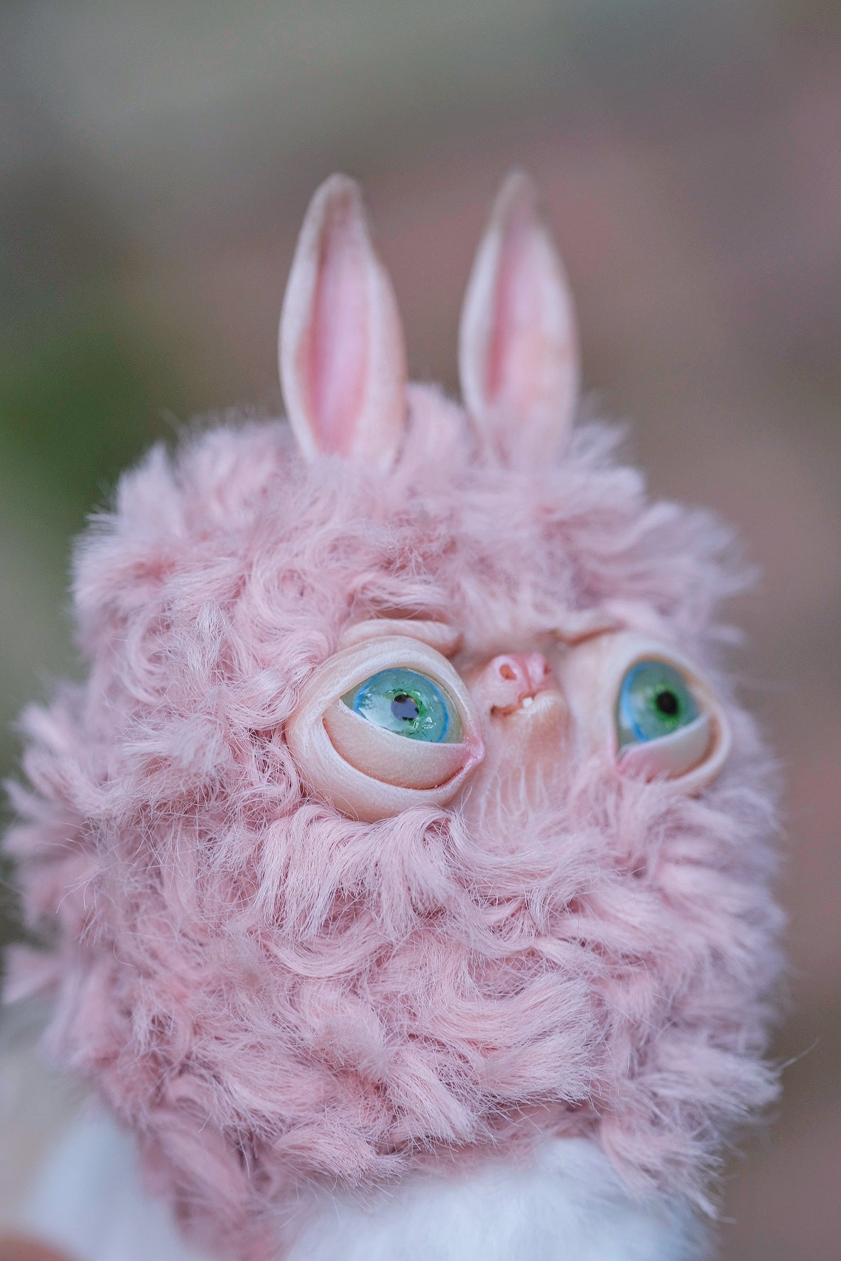 Grumpy Llama