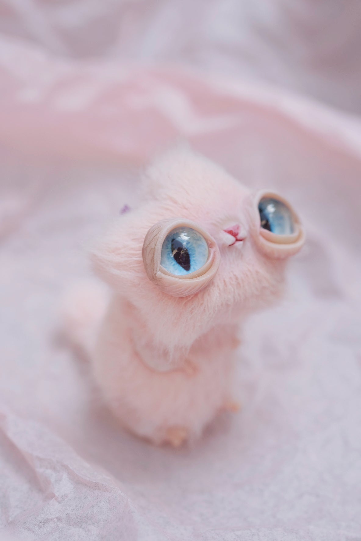 Star Kitty