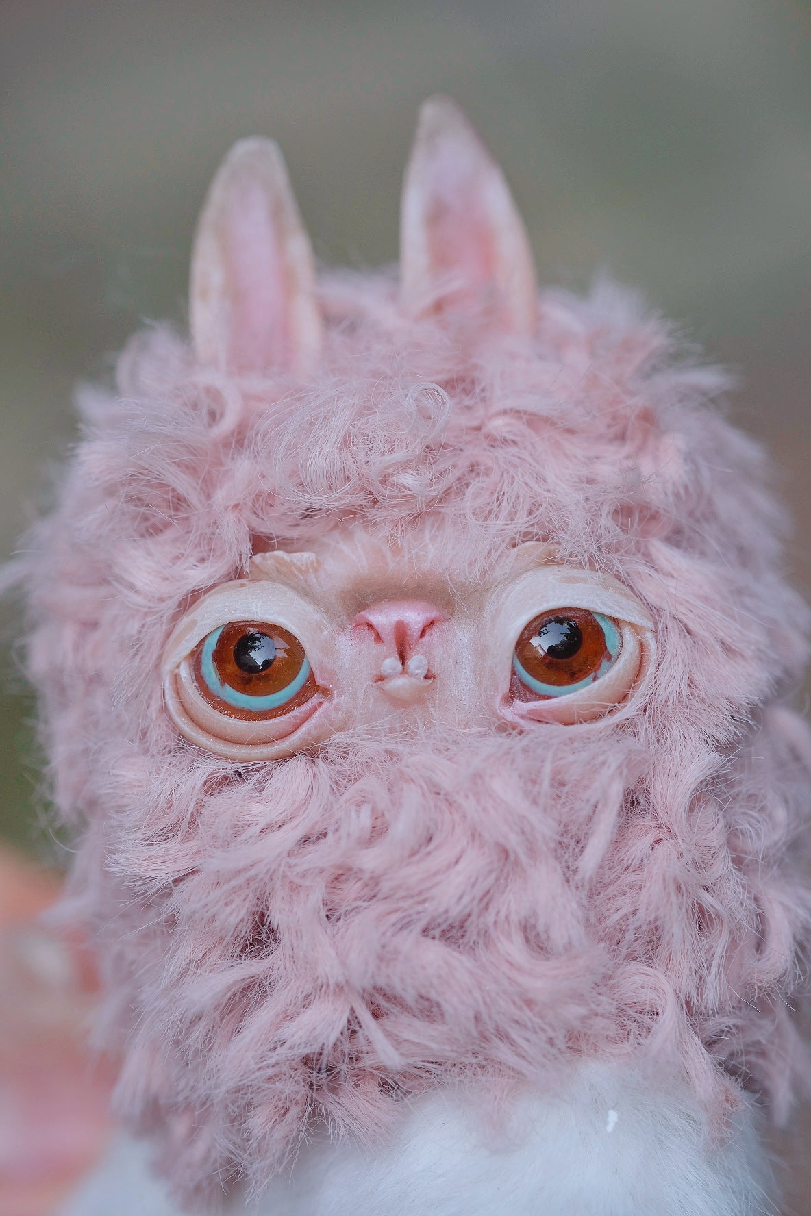 Grumpy Llama