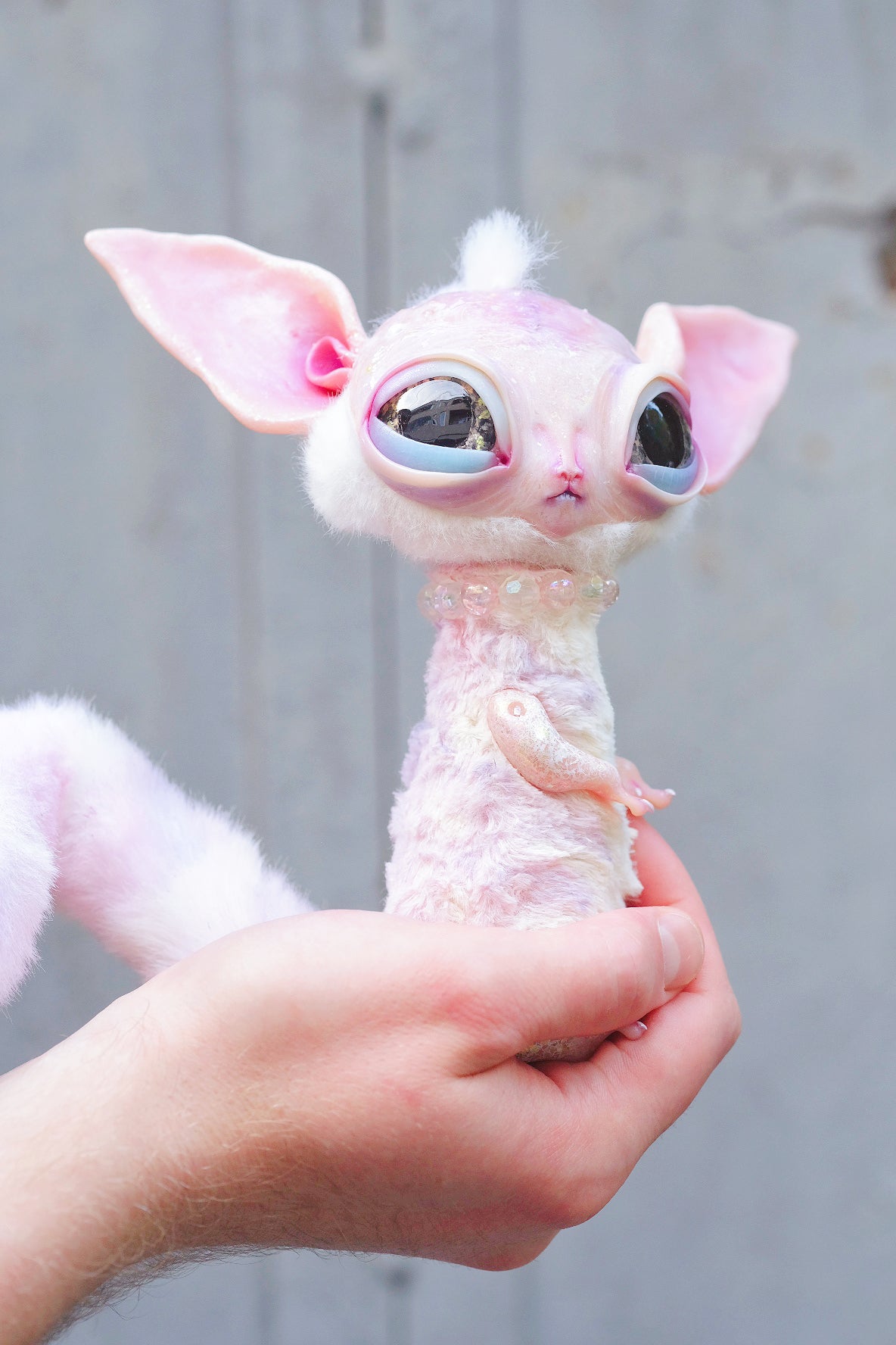 Alien Kitty