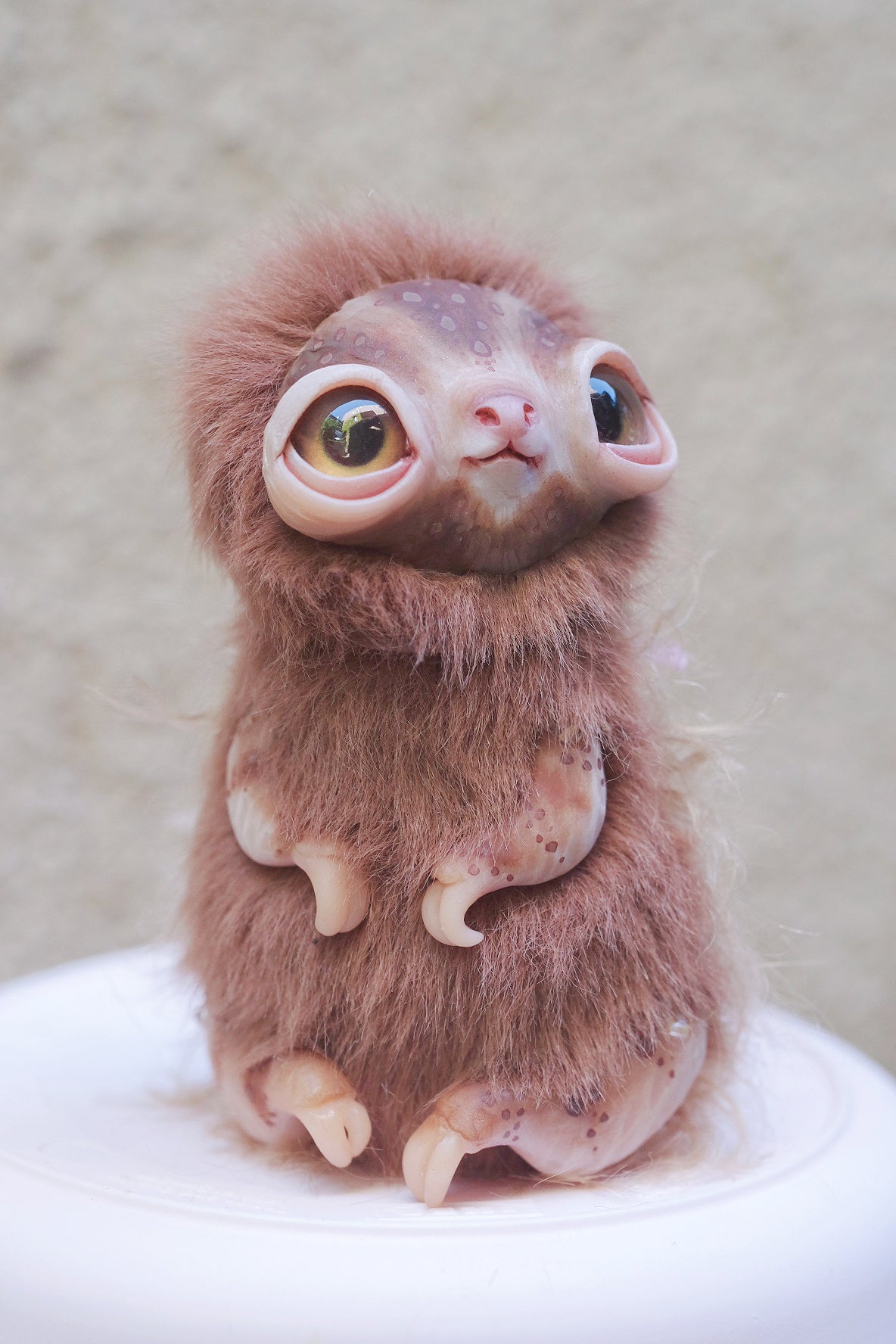 Little Sloth