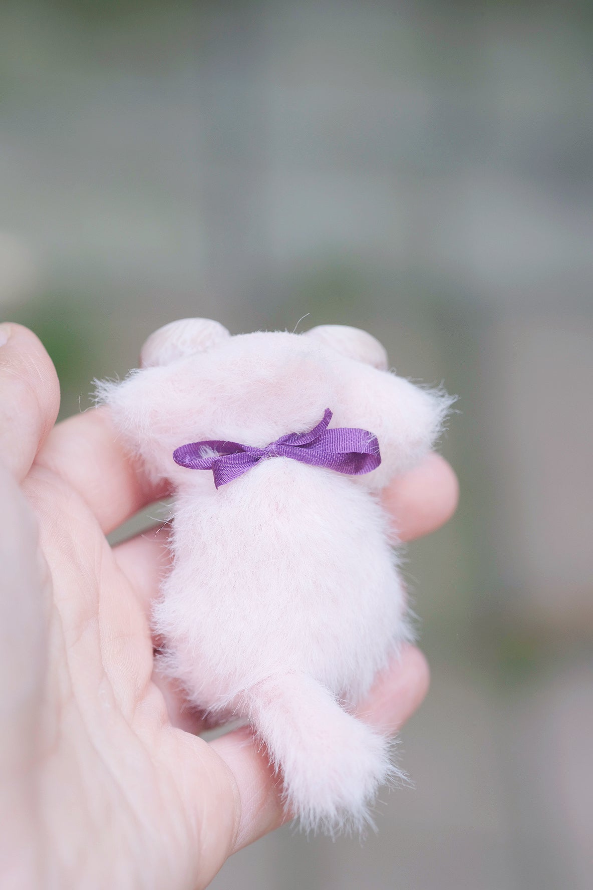 Star Kitty