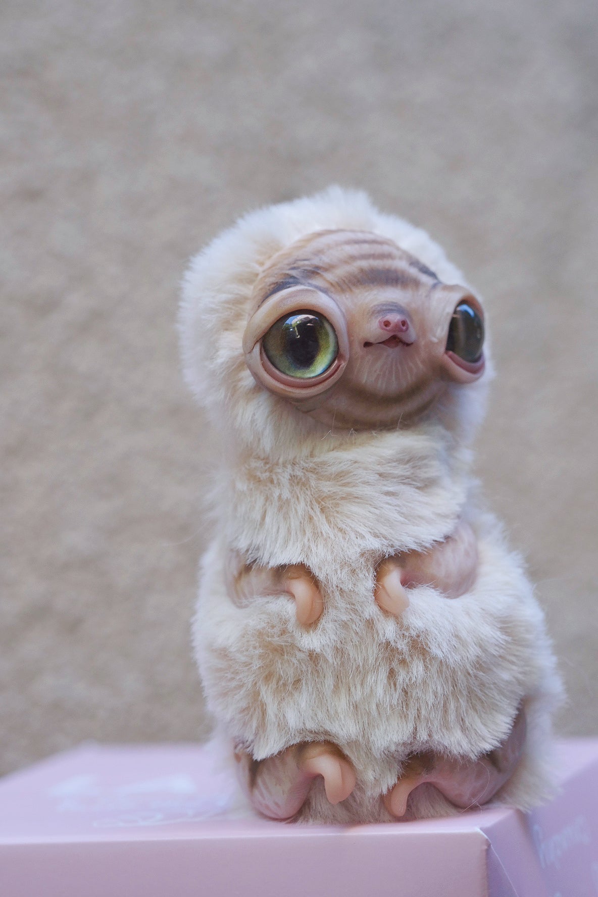 Albino Sloth