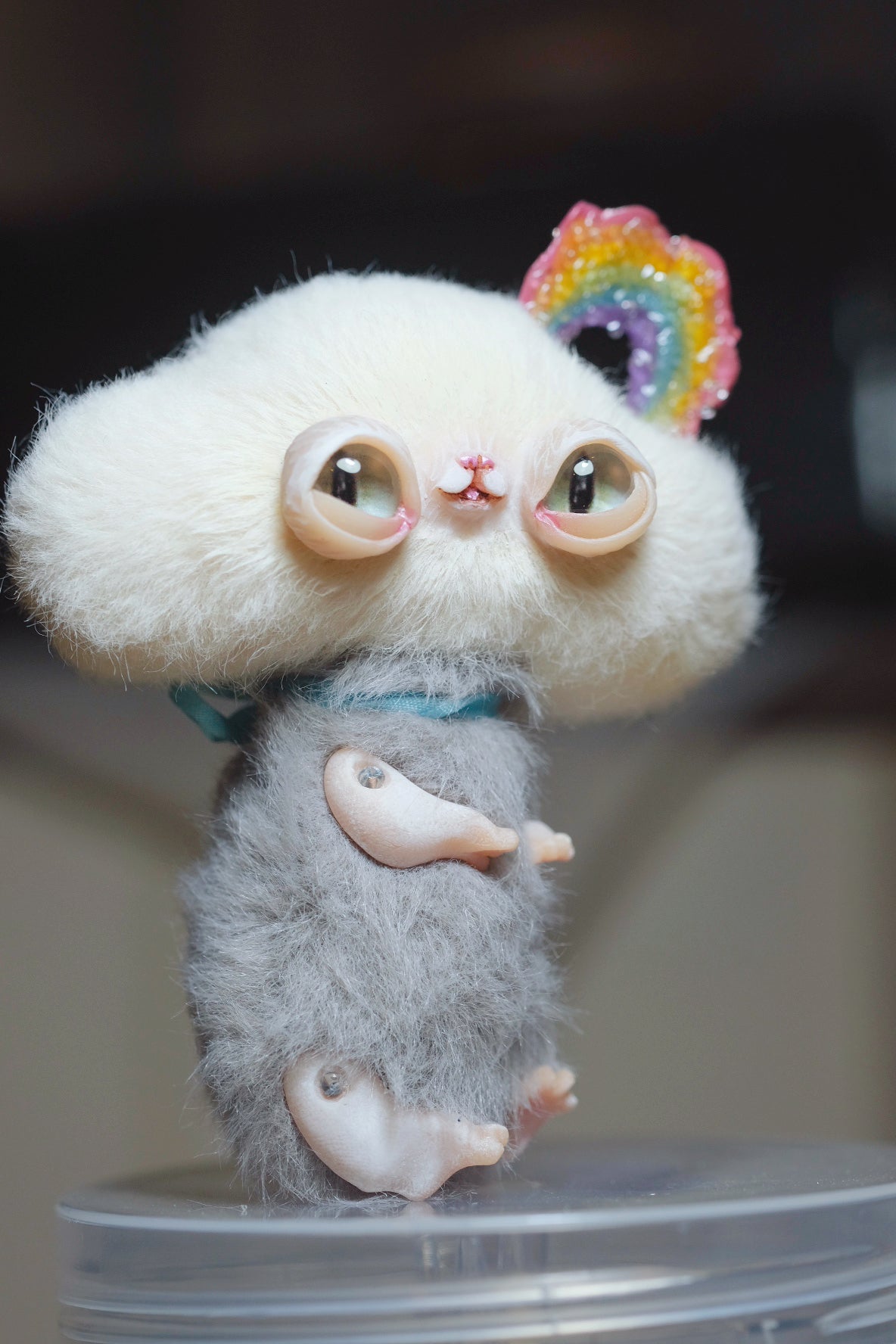 Rainbow Kitty
