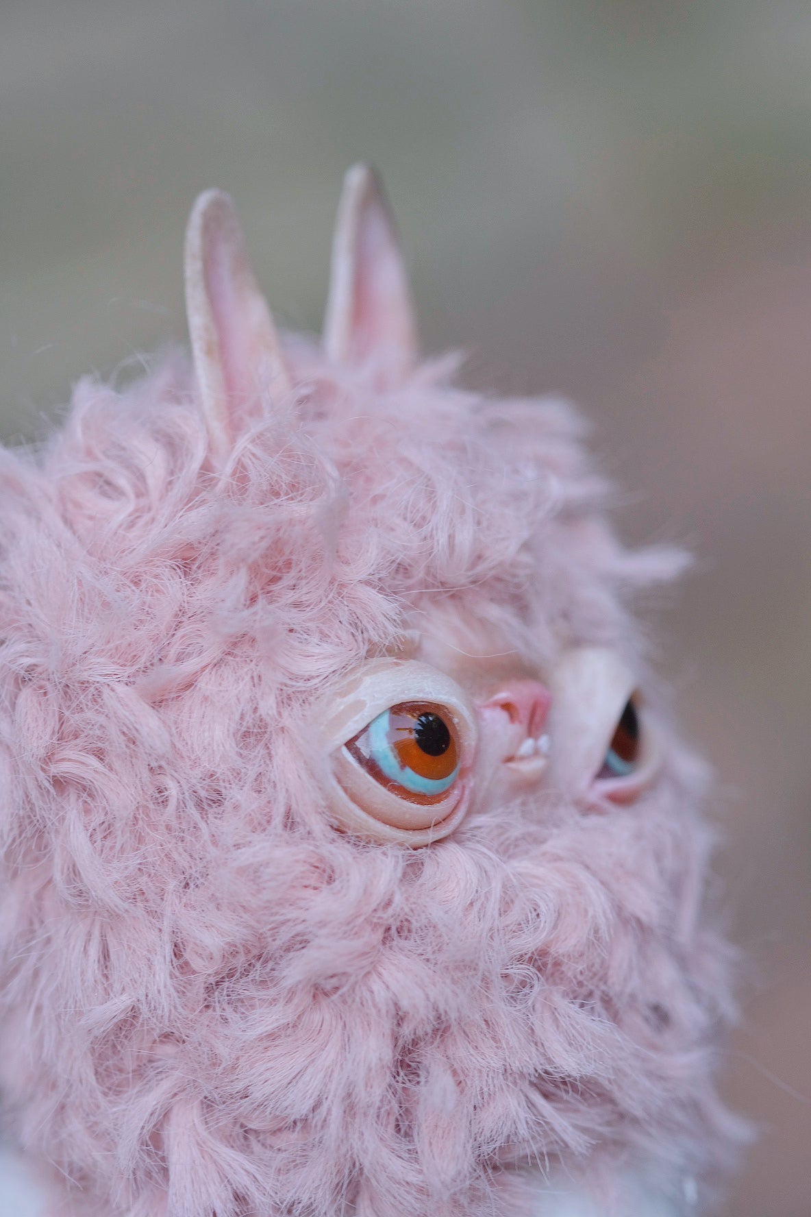 Grumpy Llama