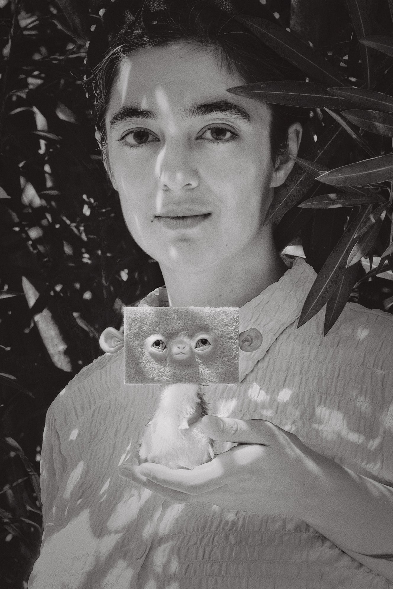 Monkey