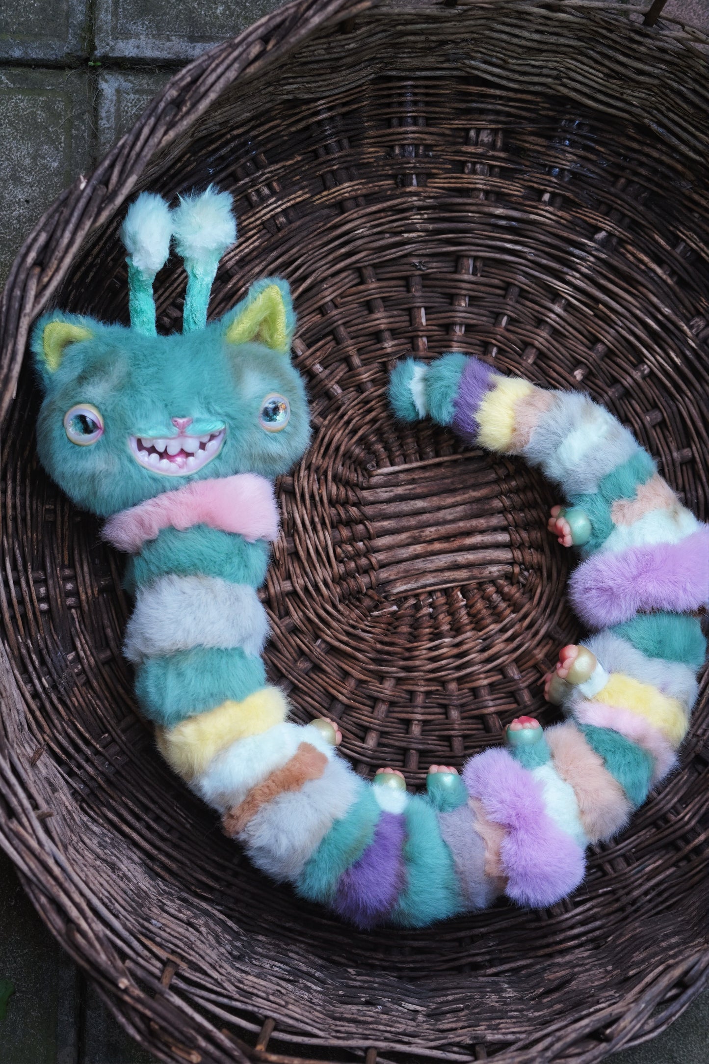 Kitty Caterpillar