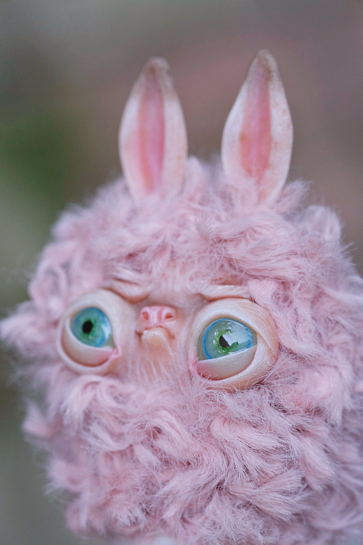 Grumpy Llama