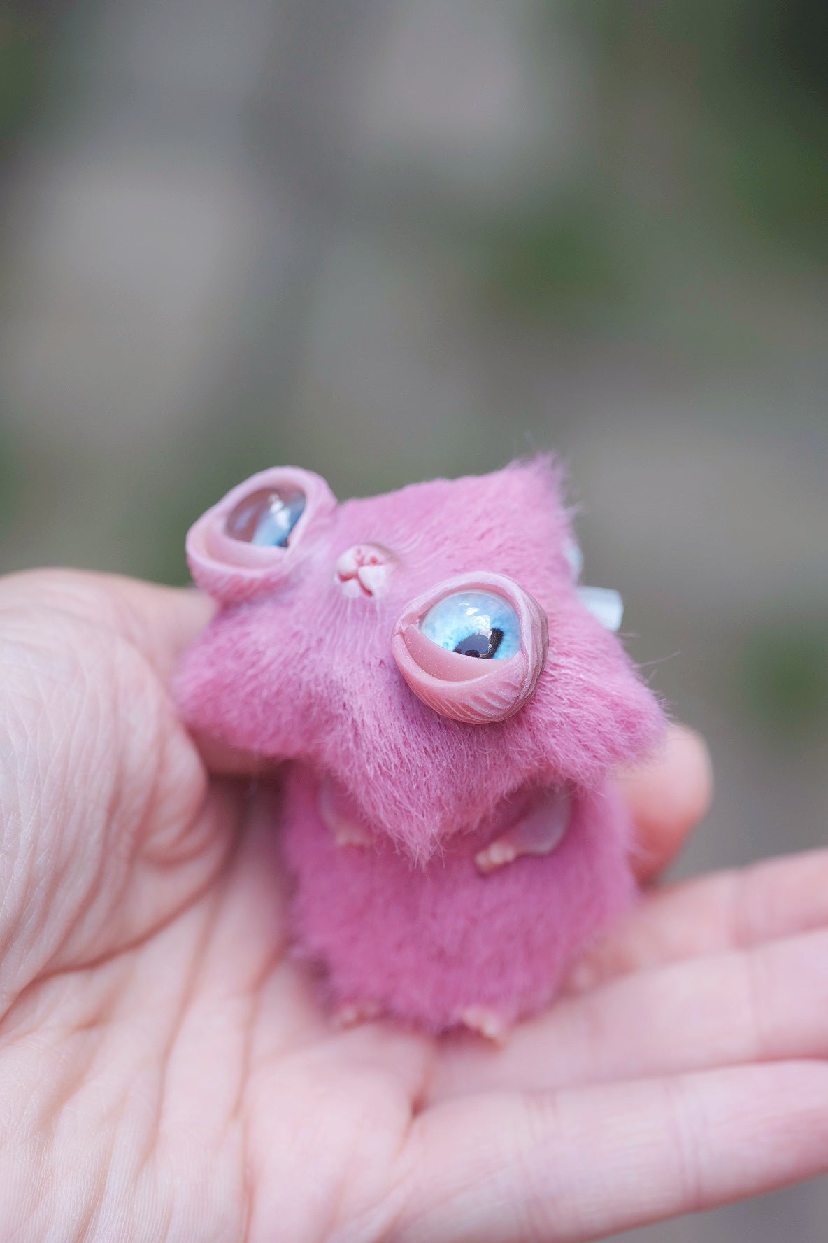 Star Kitty