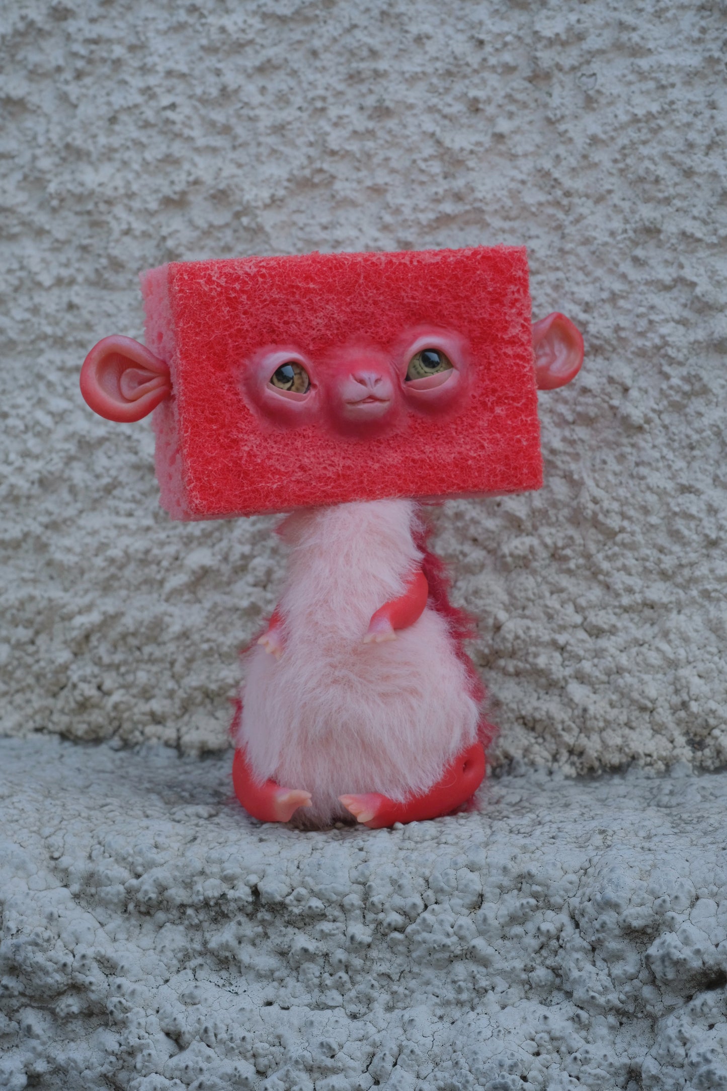 Monkey