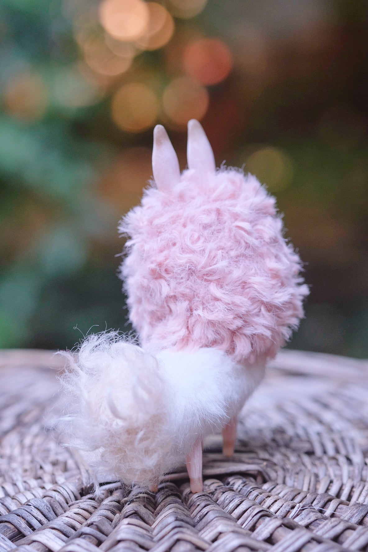 Grumpy Llama