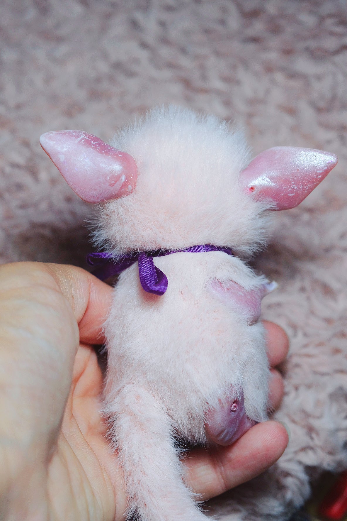 Crescent Kitty Pink