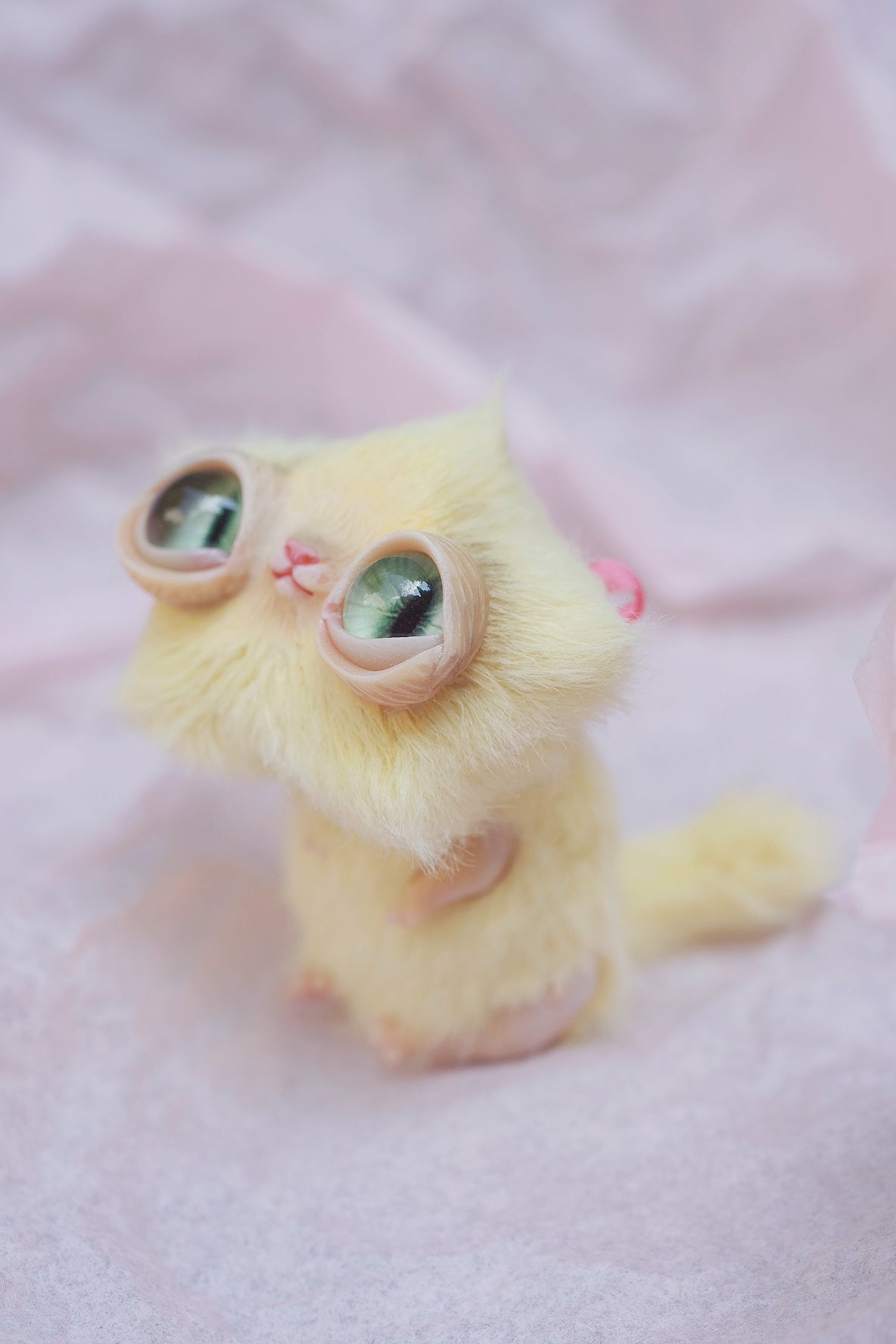 Star Kitty