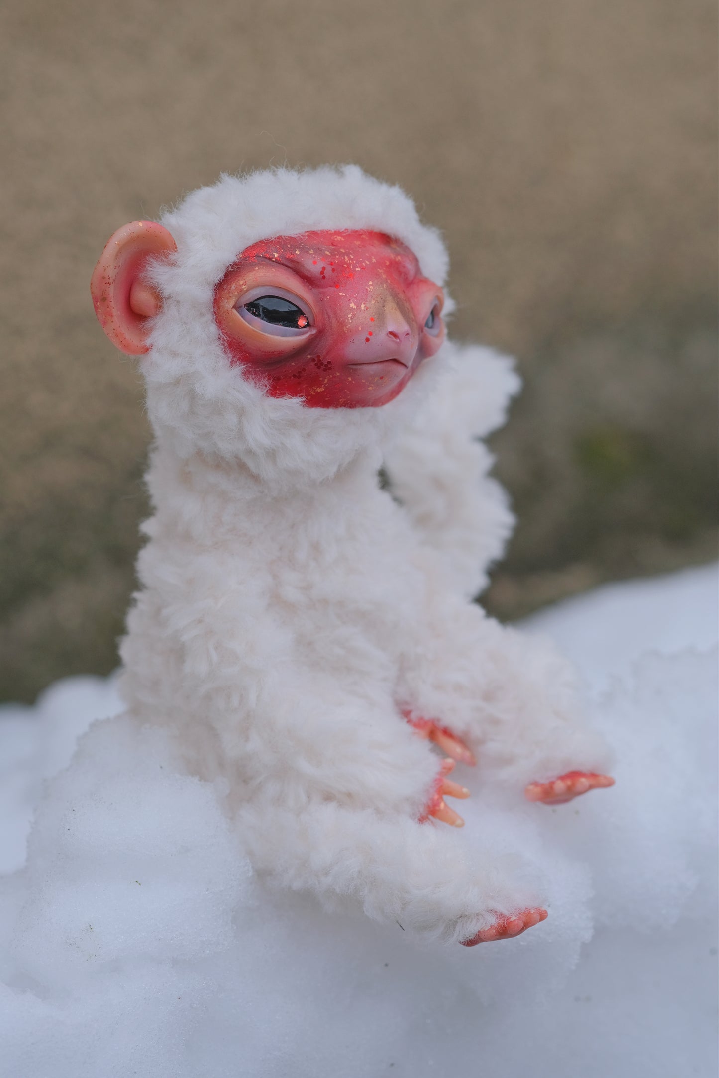 Snow Monkey