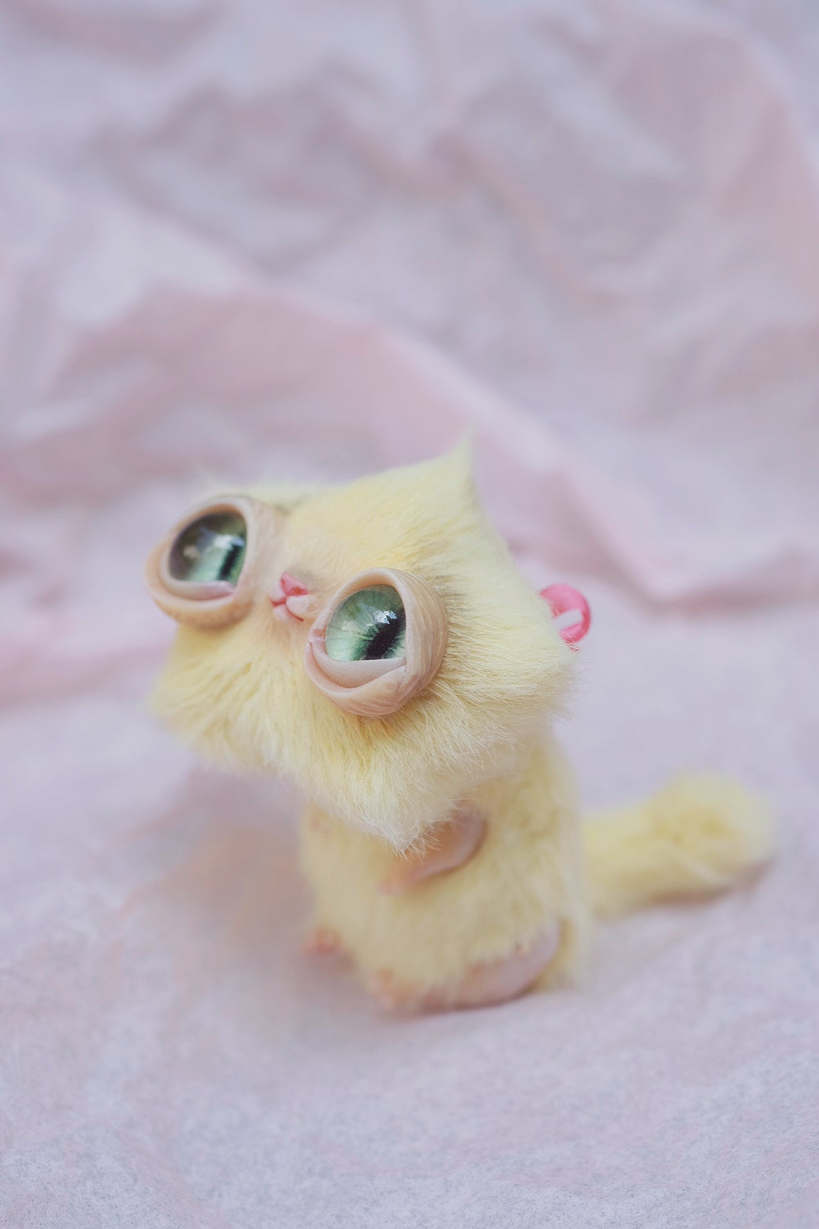 Star Kitty