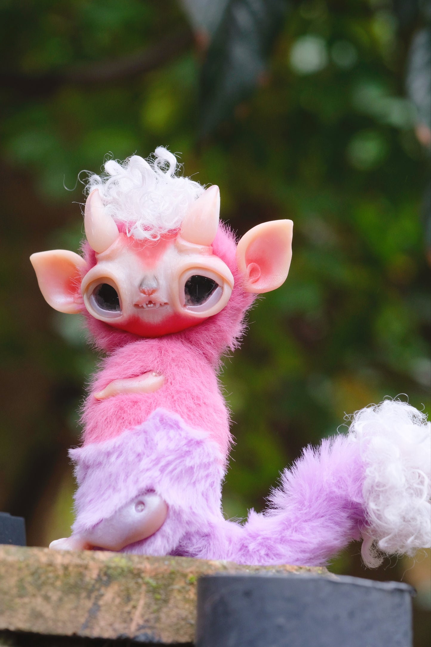 Little Imp