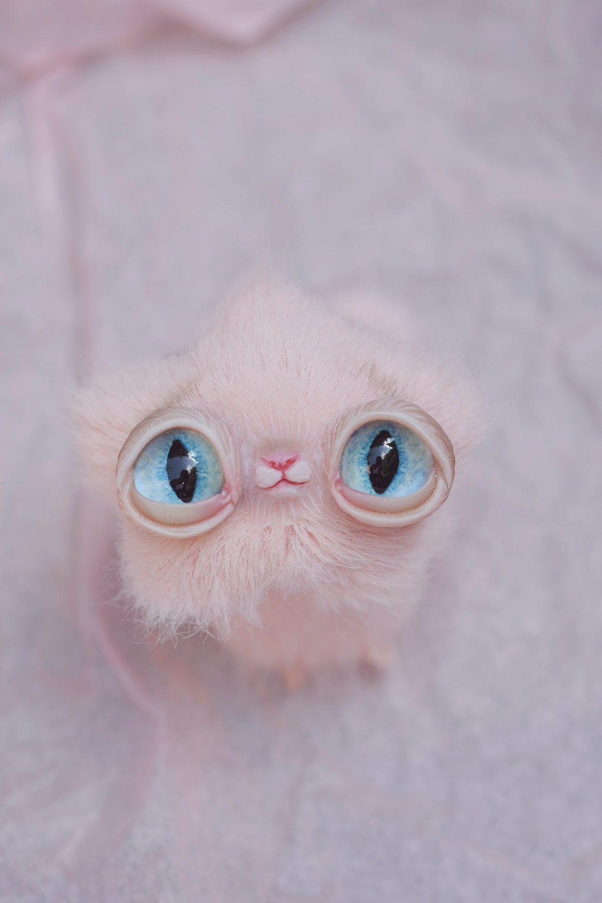 Star Kitty