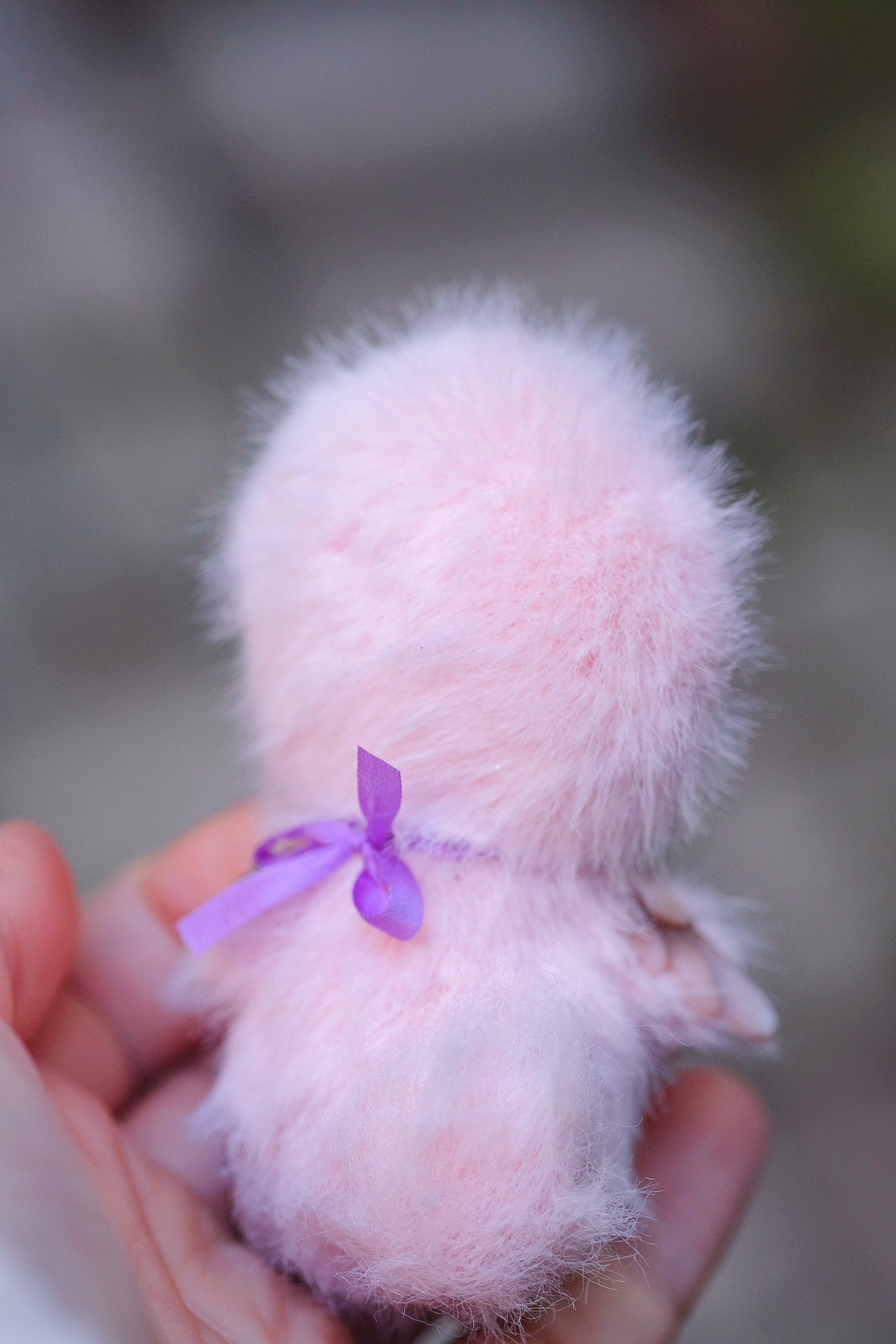 Pink Dodo Bird