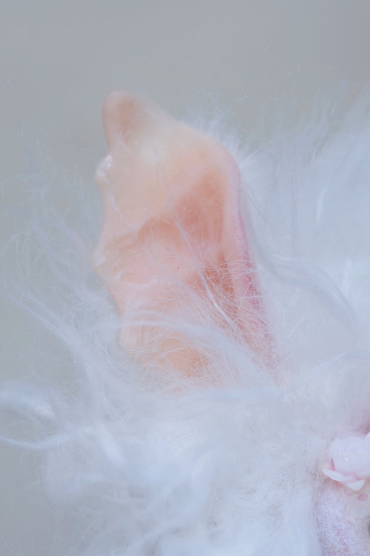 Albino Snöfflin