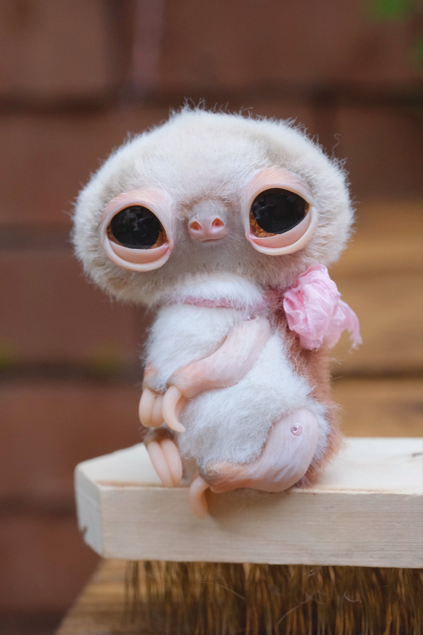 Cute Sloth