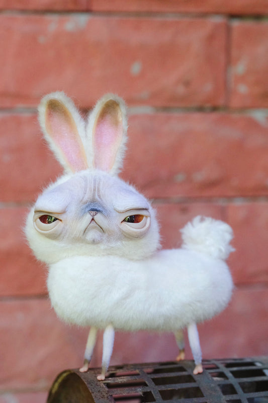 Grumpy Kitty Bunny