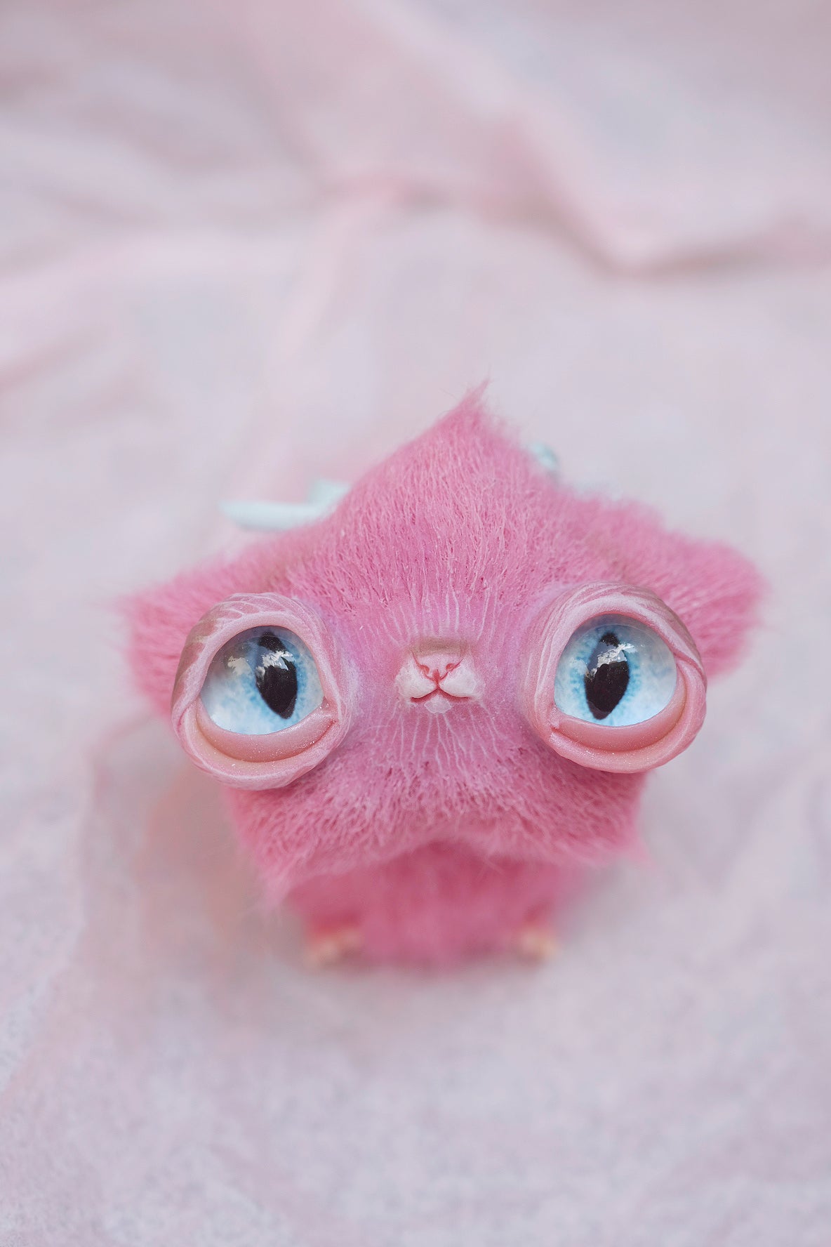Star Kitty