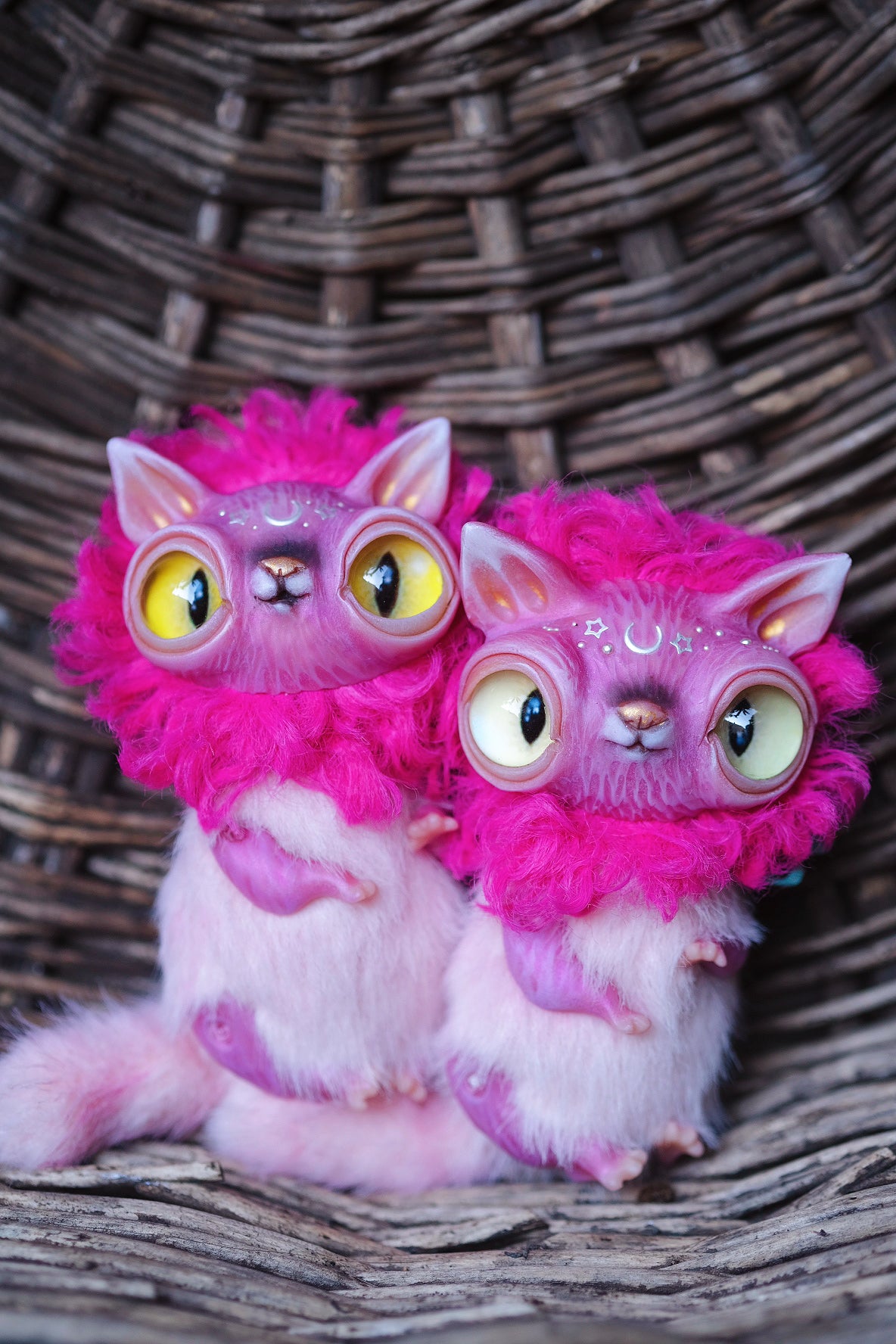 Magenta Crescent Cat