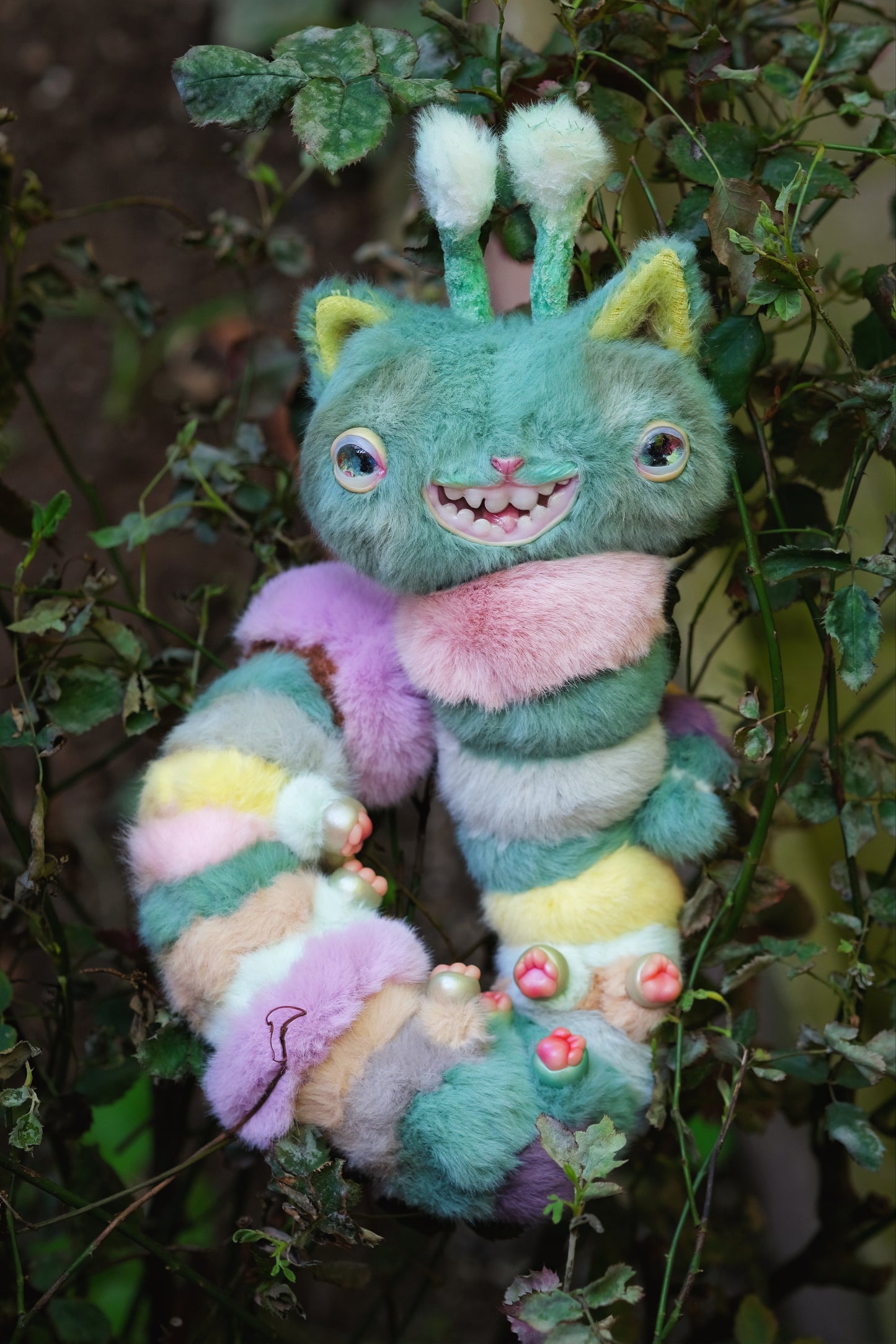 Kitty Caterpillar