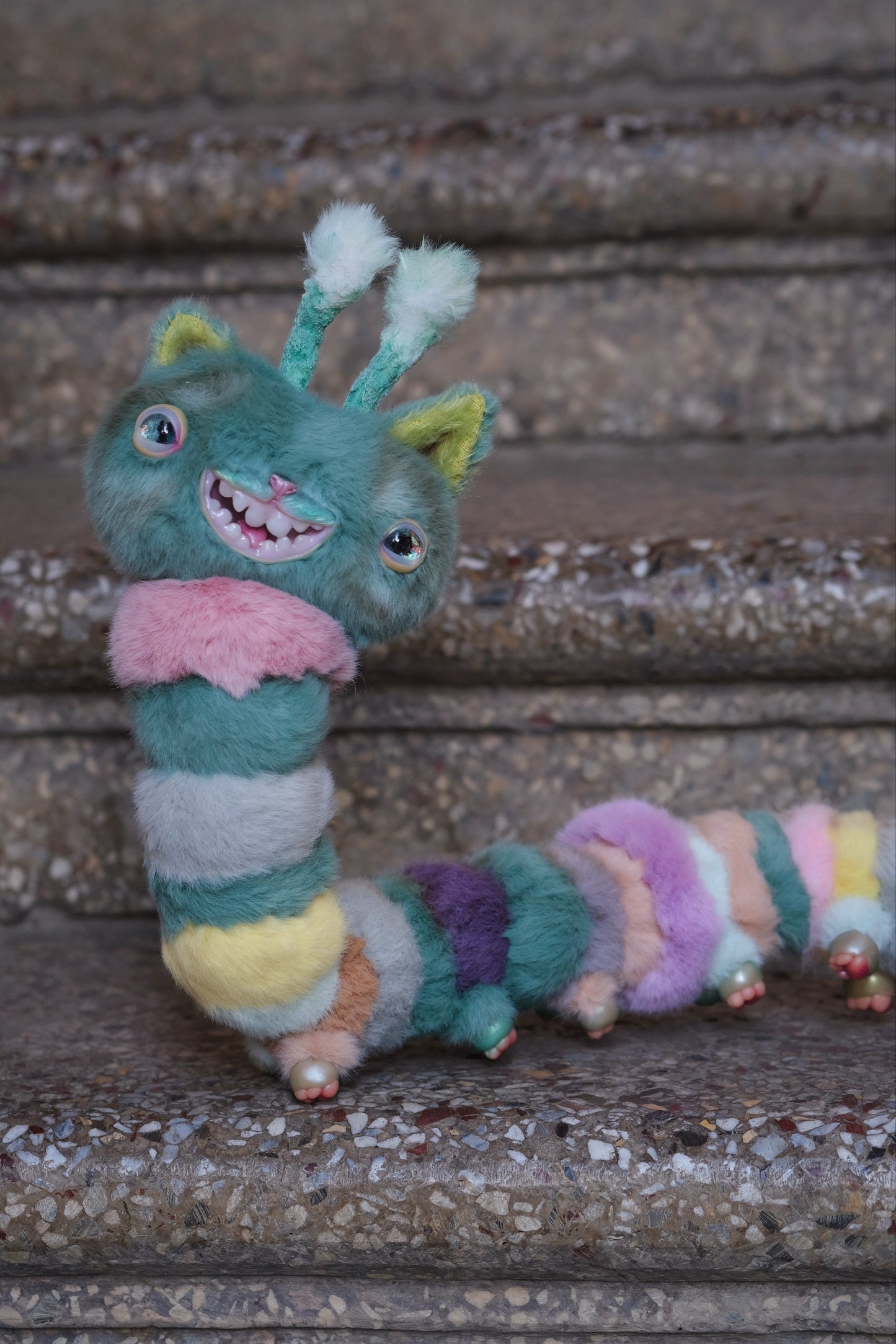 Kitty Caterpillar