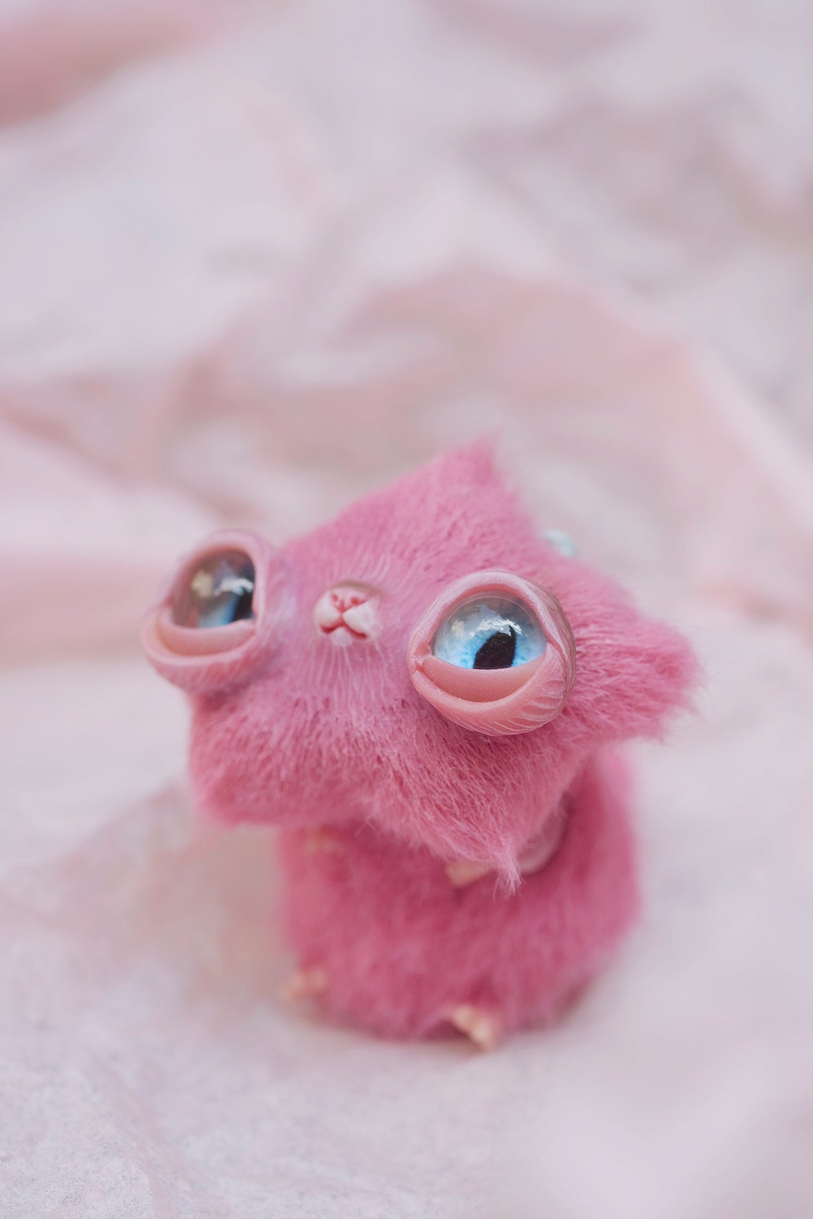 Star Kitty