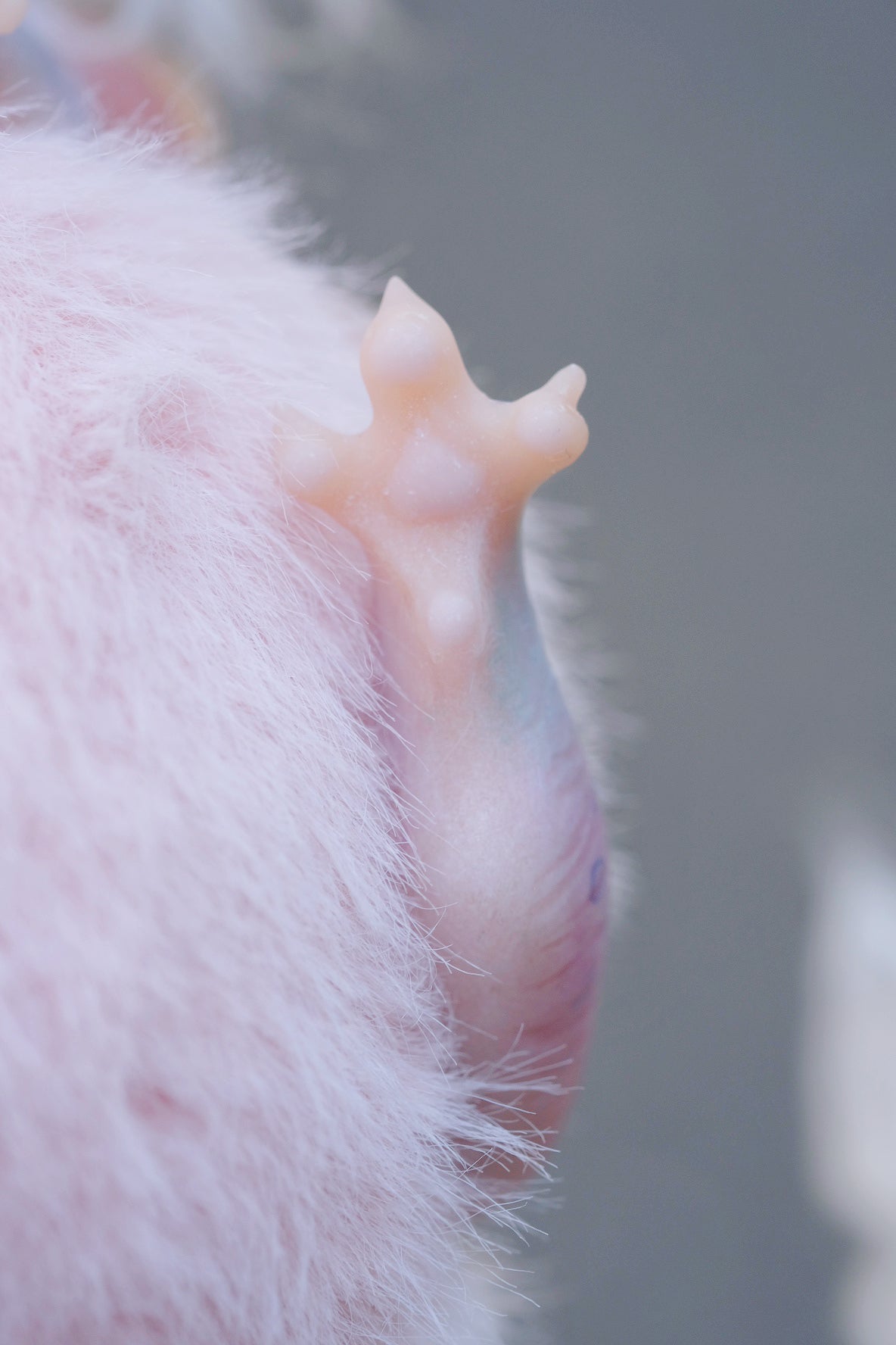 Albino Snöfflin