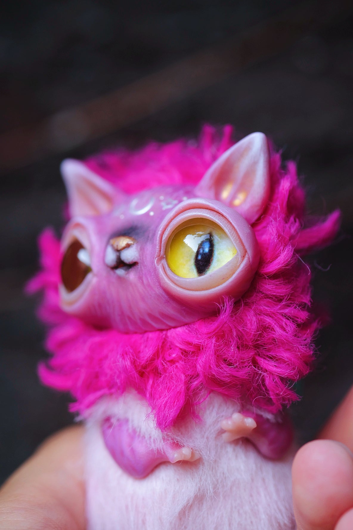 Magenta Crescent Cat