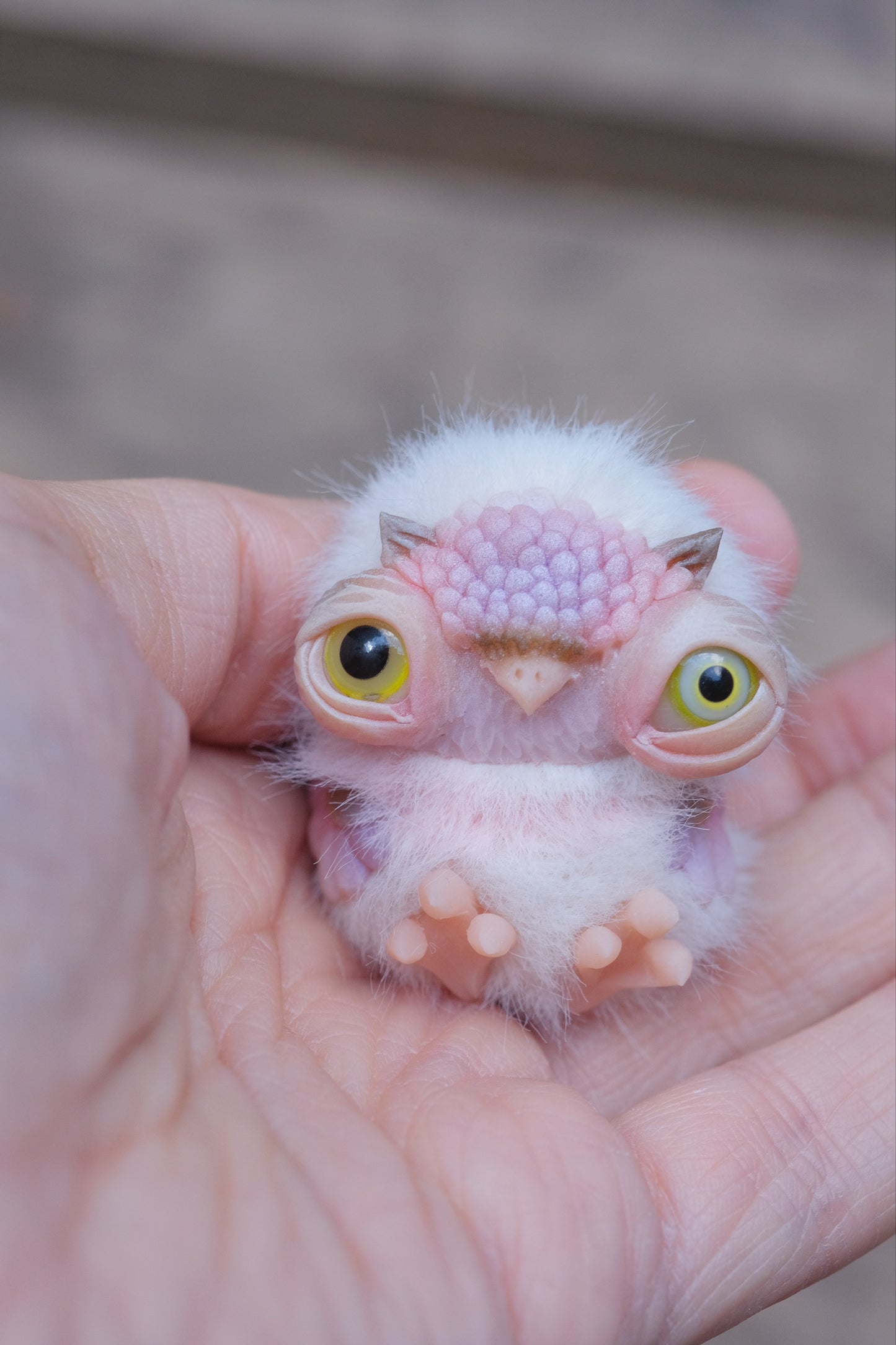 Cute Owlet