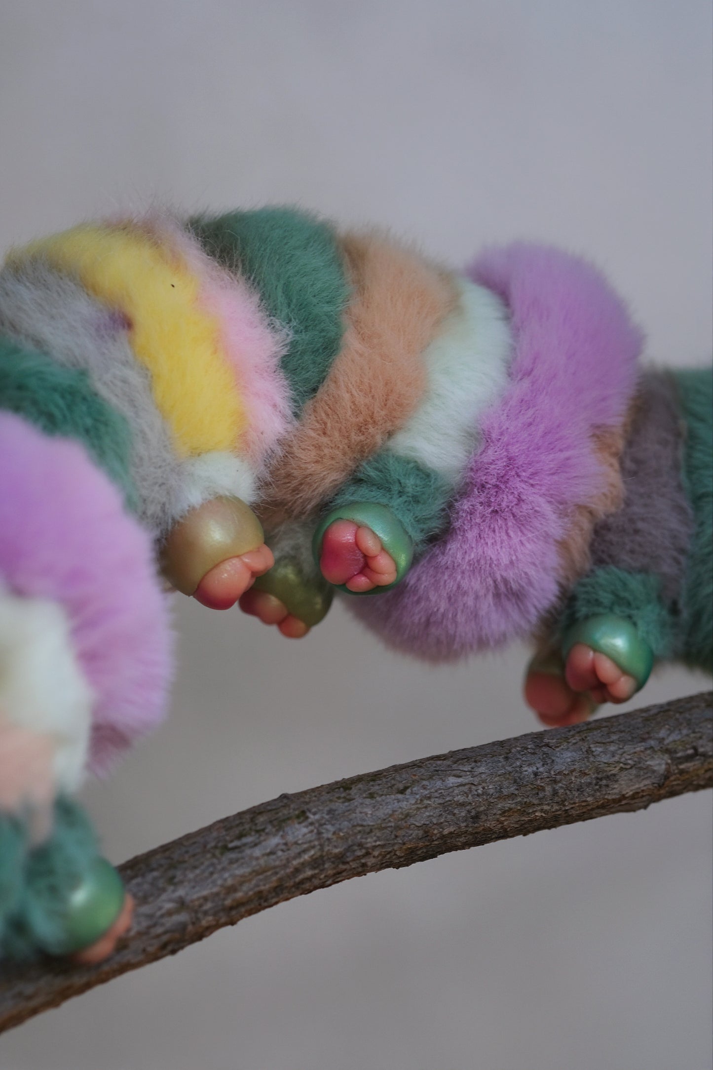 Kitty Caterpillar