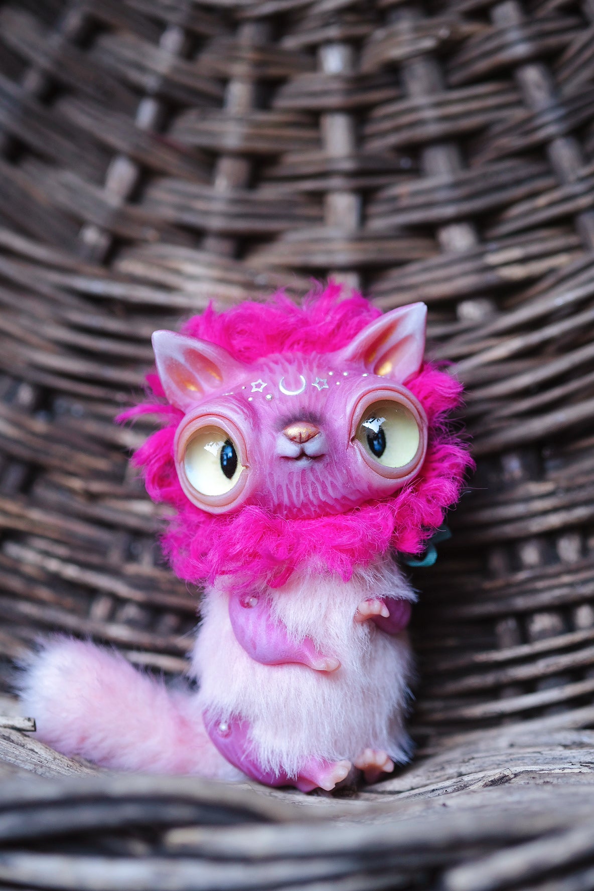 Magenta Crescent Cat