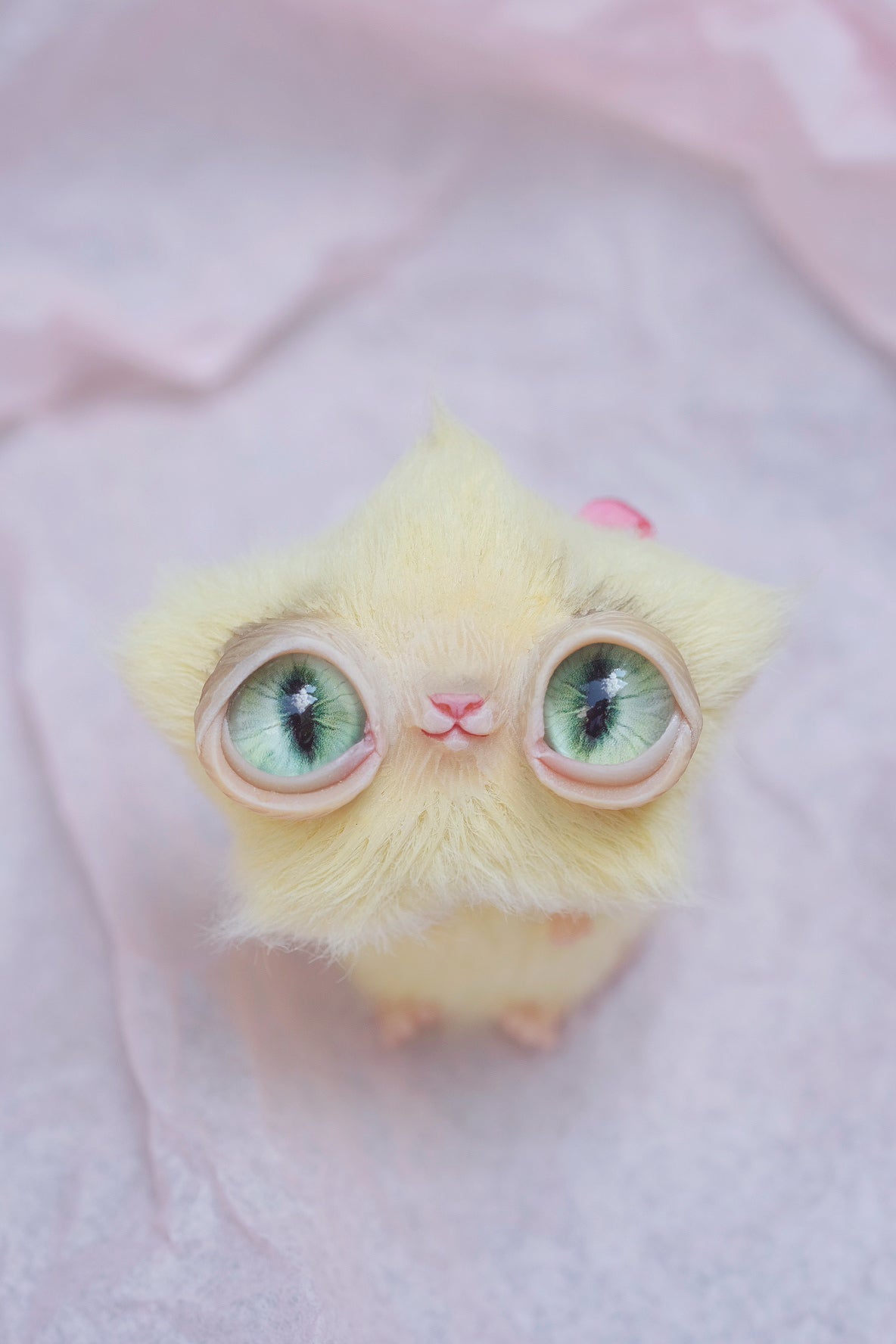 Star Kitty