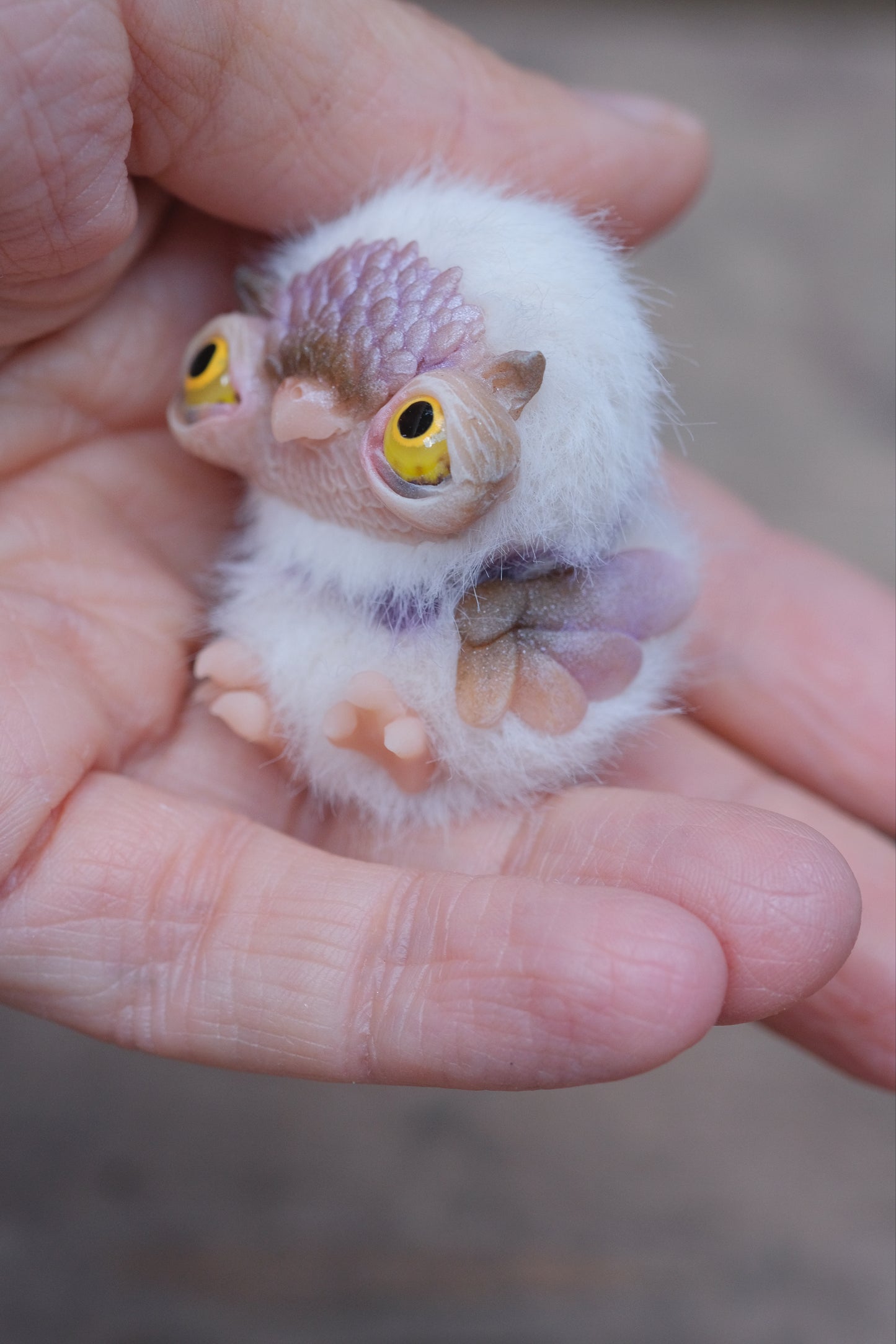 Cute Owlet