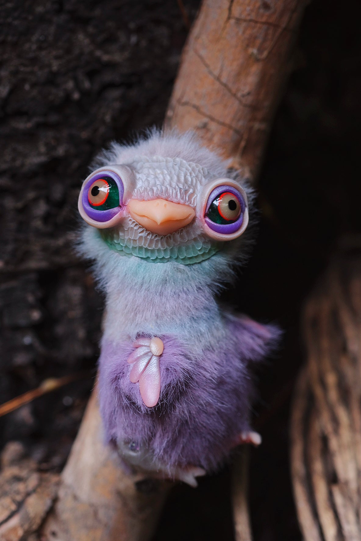 Joyful Pigeon