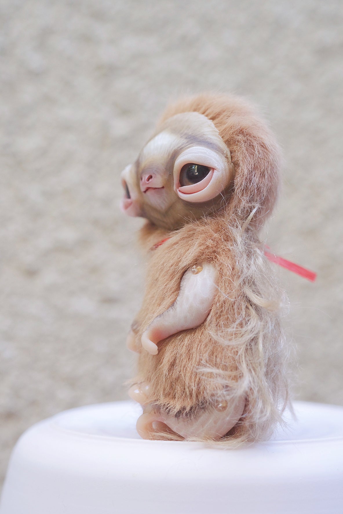 Little Sloth