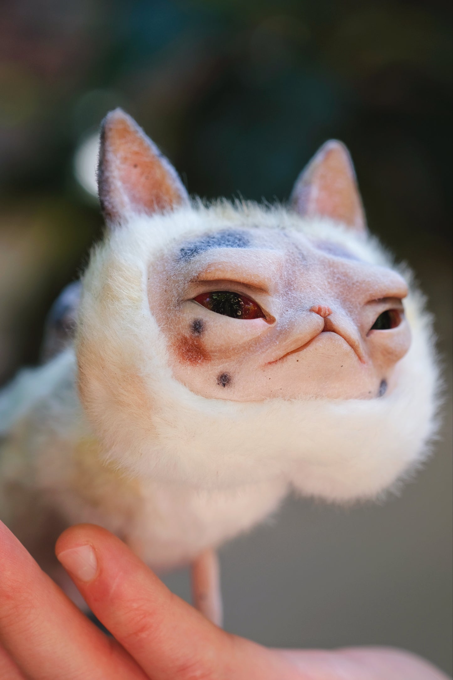 Grumpy Kitty Snail