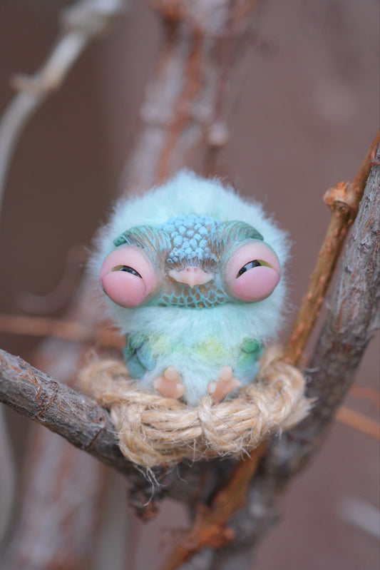 Emerald Owlet