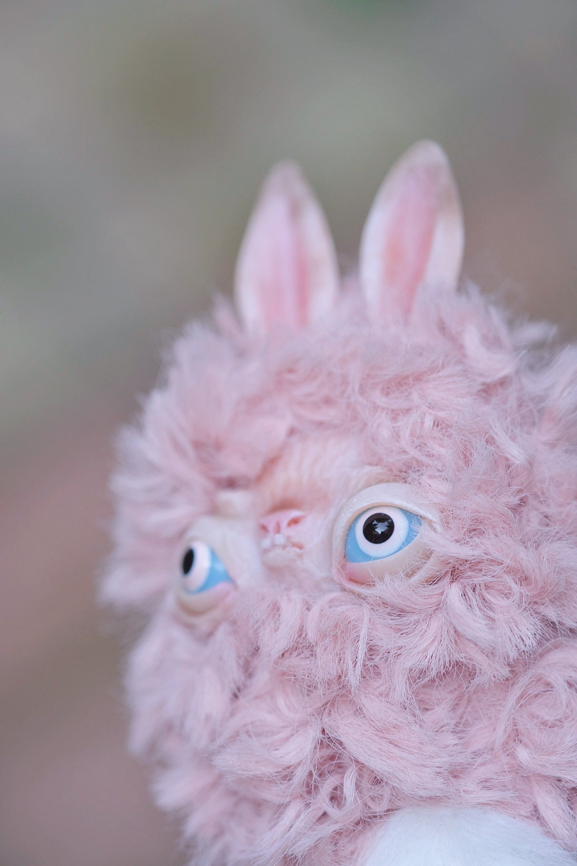 Grumpy Llama