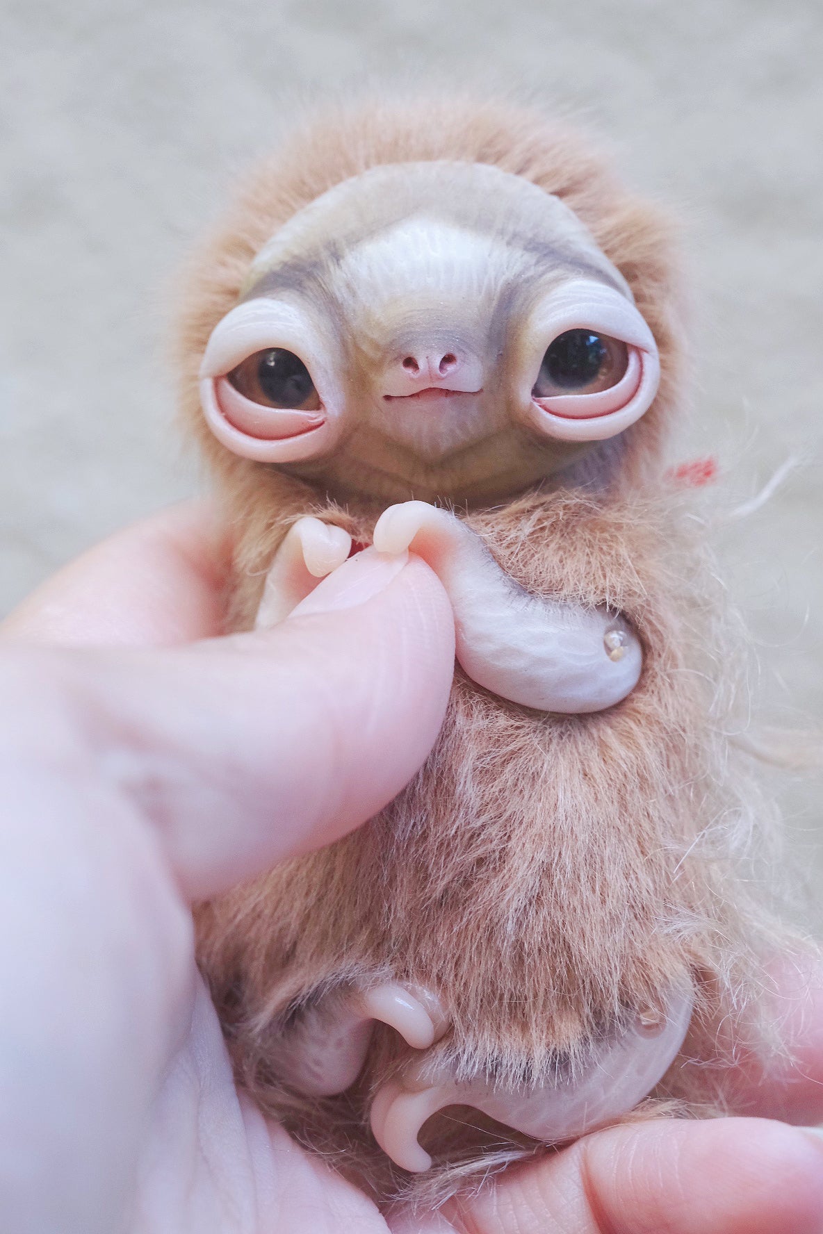 Little Sloth