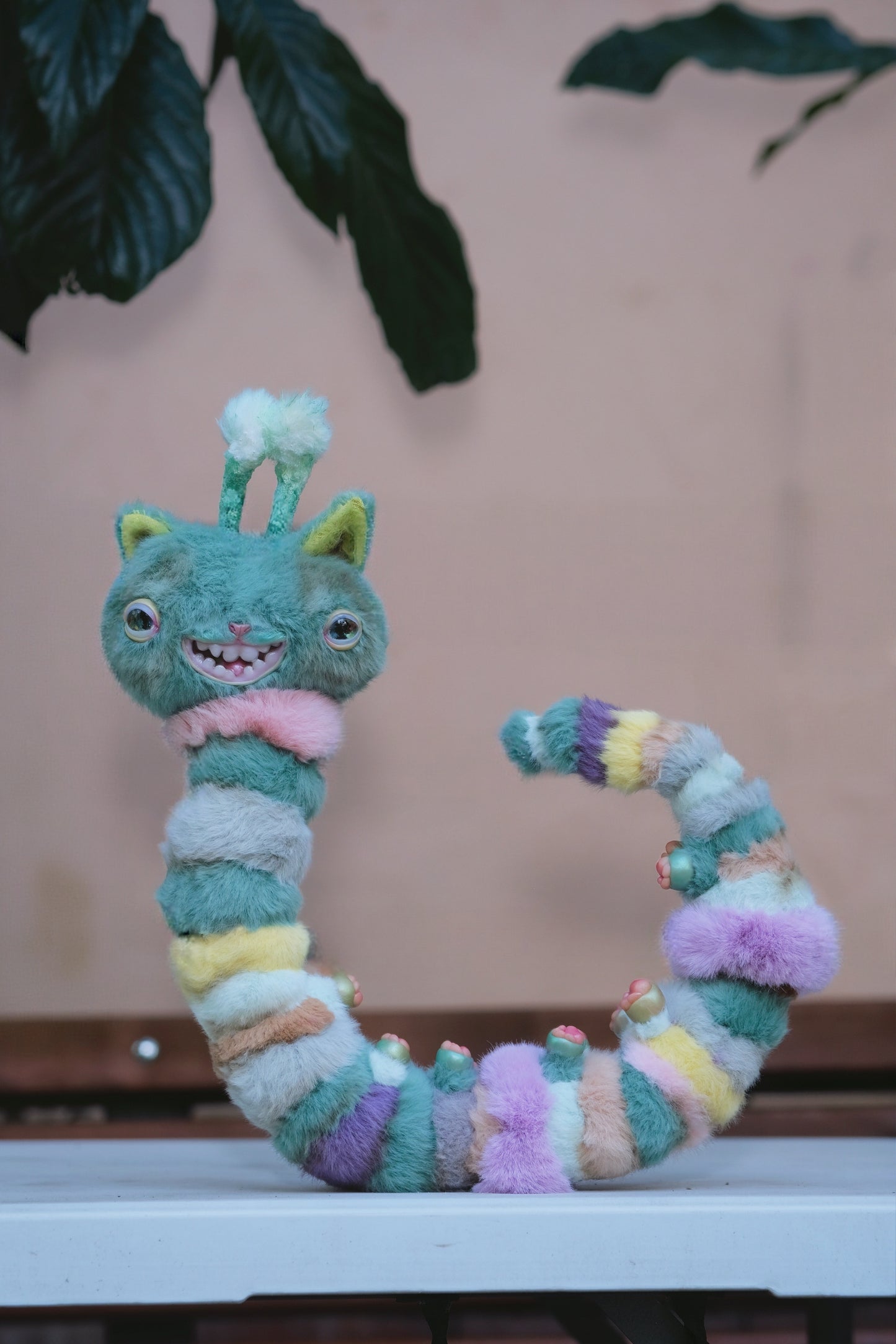 Kitty Caterpillar