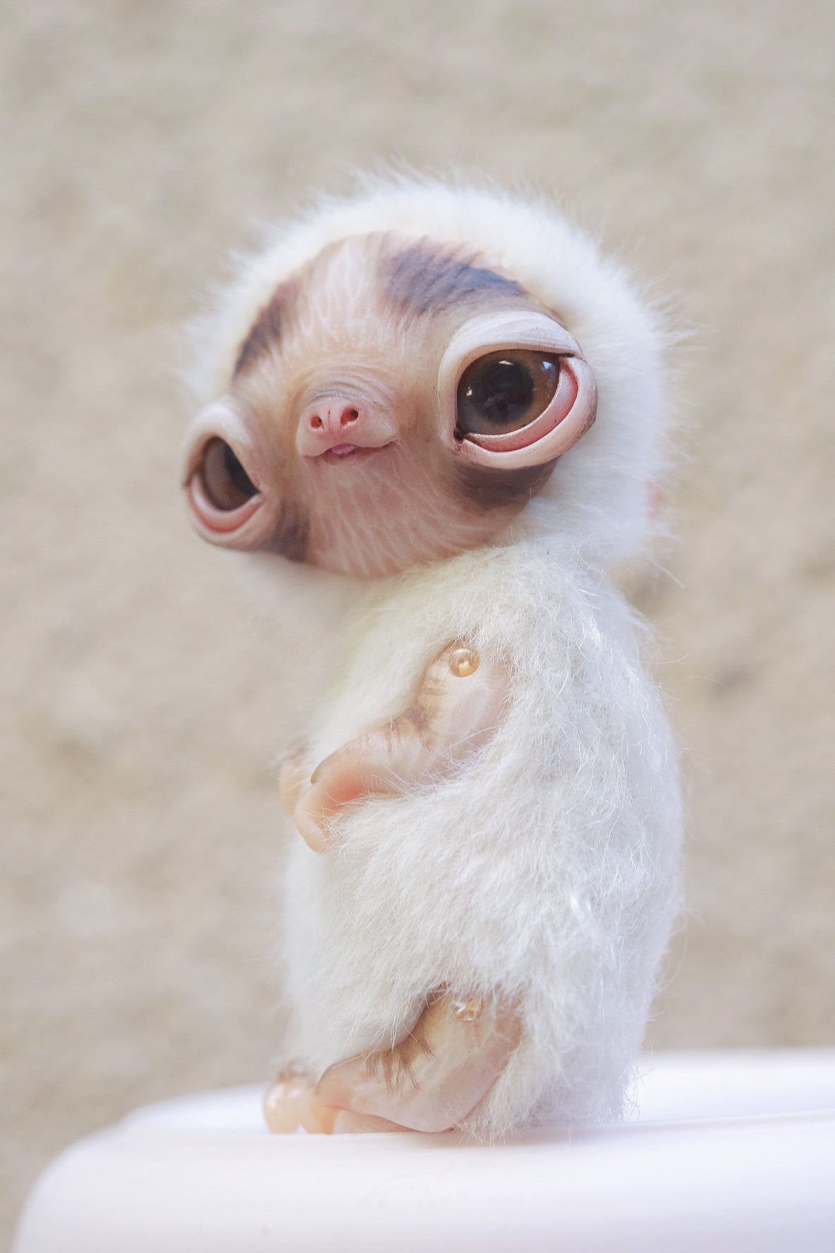 Little Sloth