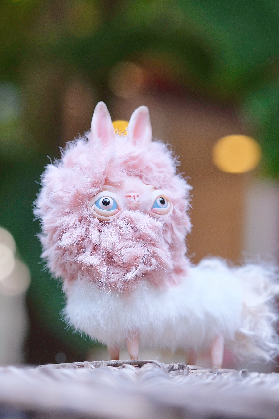 Grumpy Llama