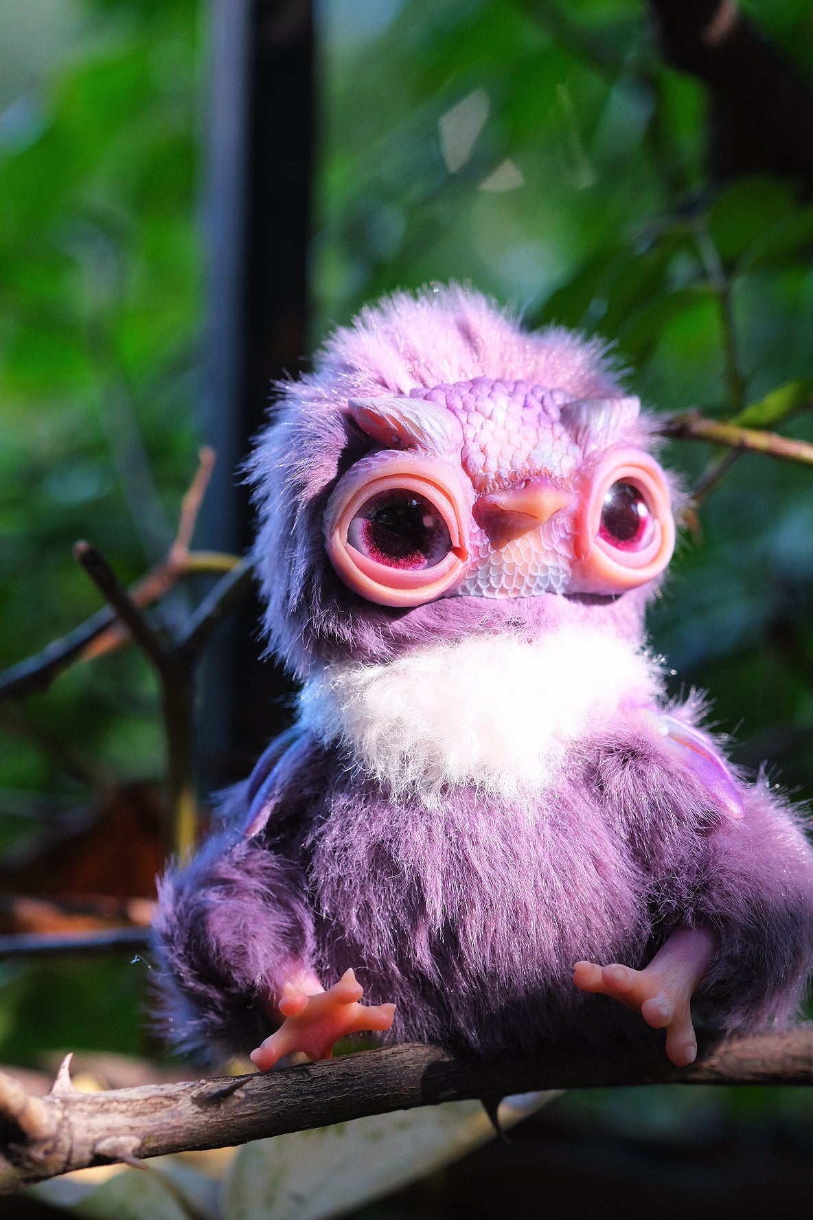 Cute Owl