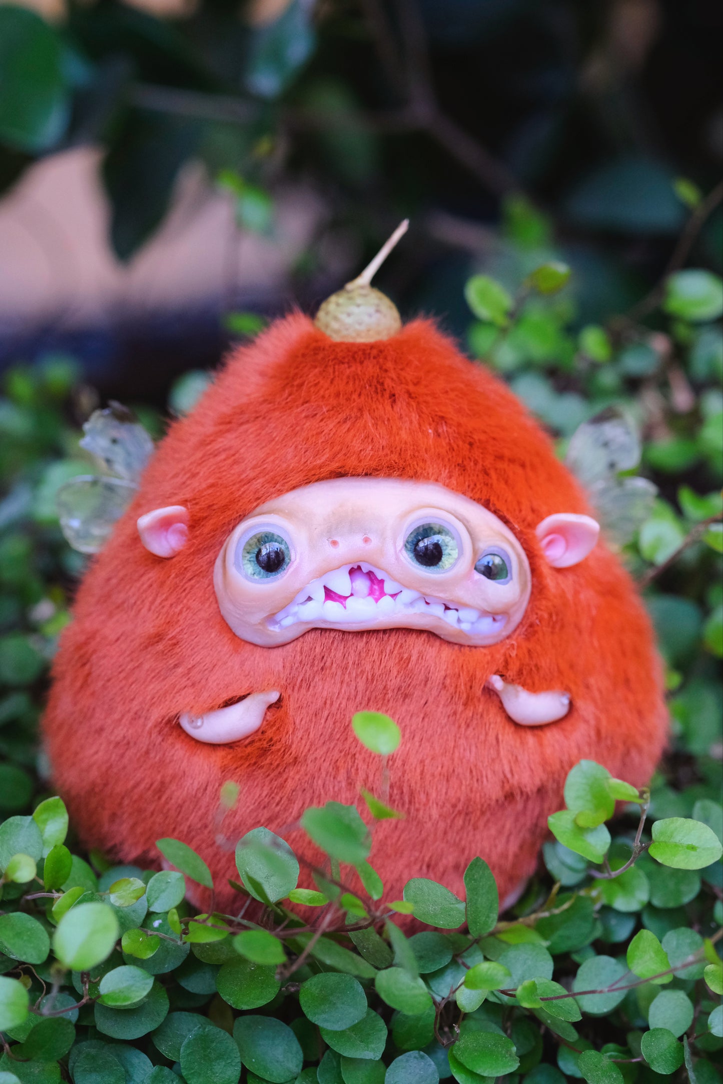 Acorn Troll