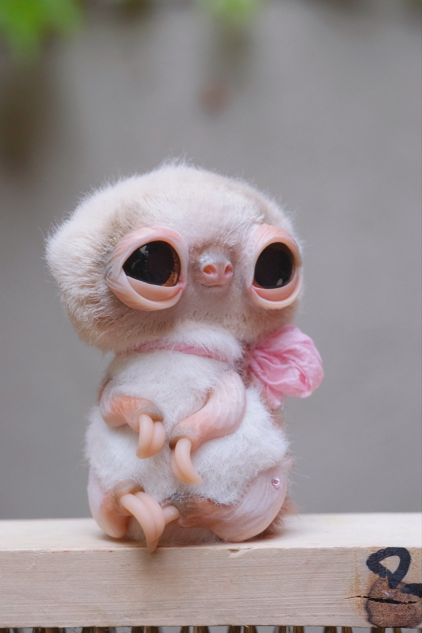 Cute Sloth